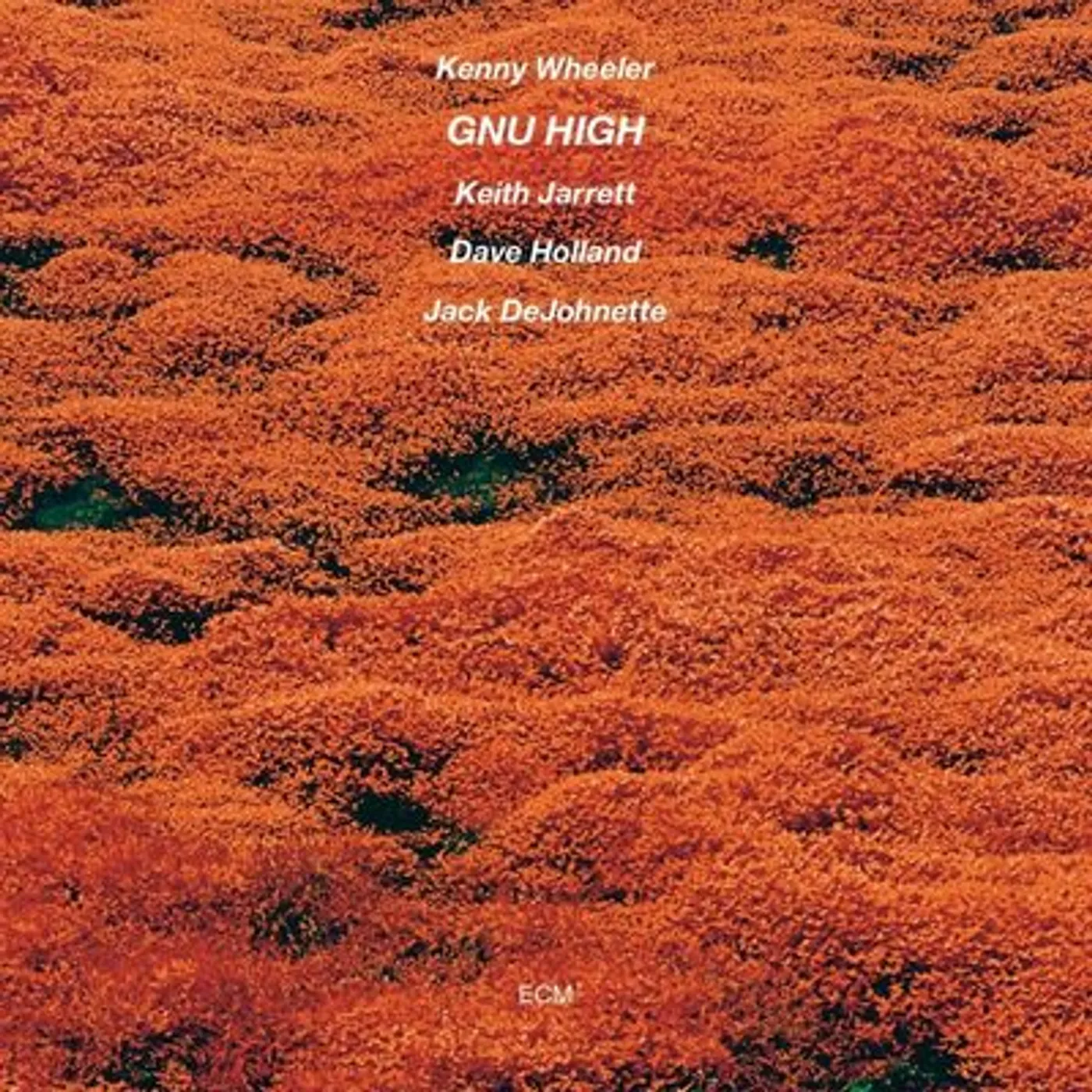 Kenny Wheeler LP - Gnu High (Vinyl)