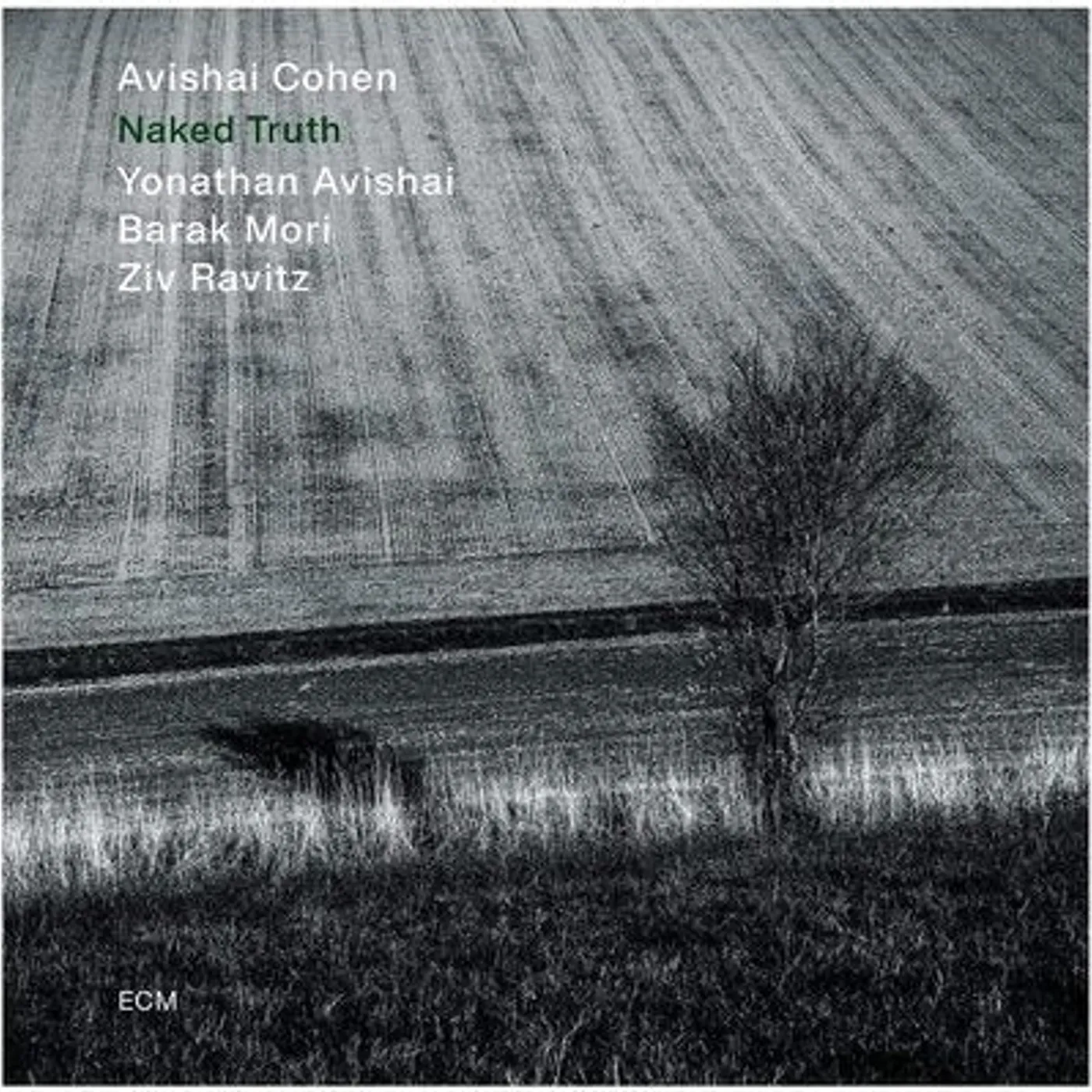 Avishai Cohen LP - Naked Truth (Vinyl)