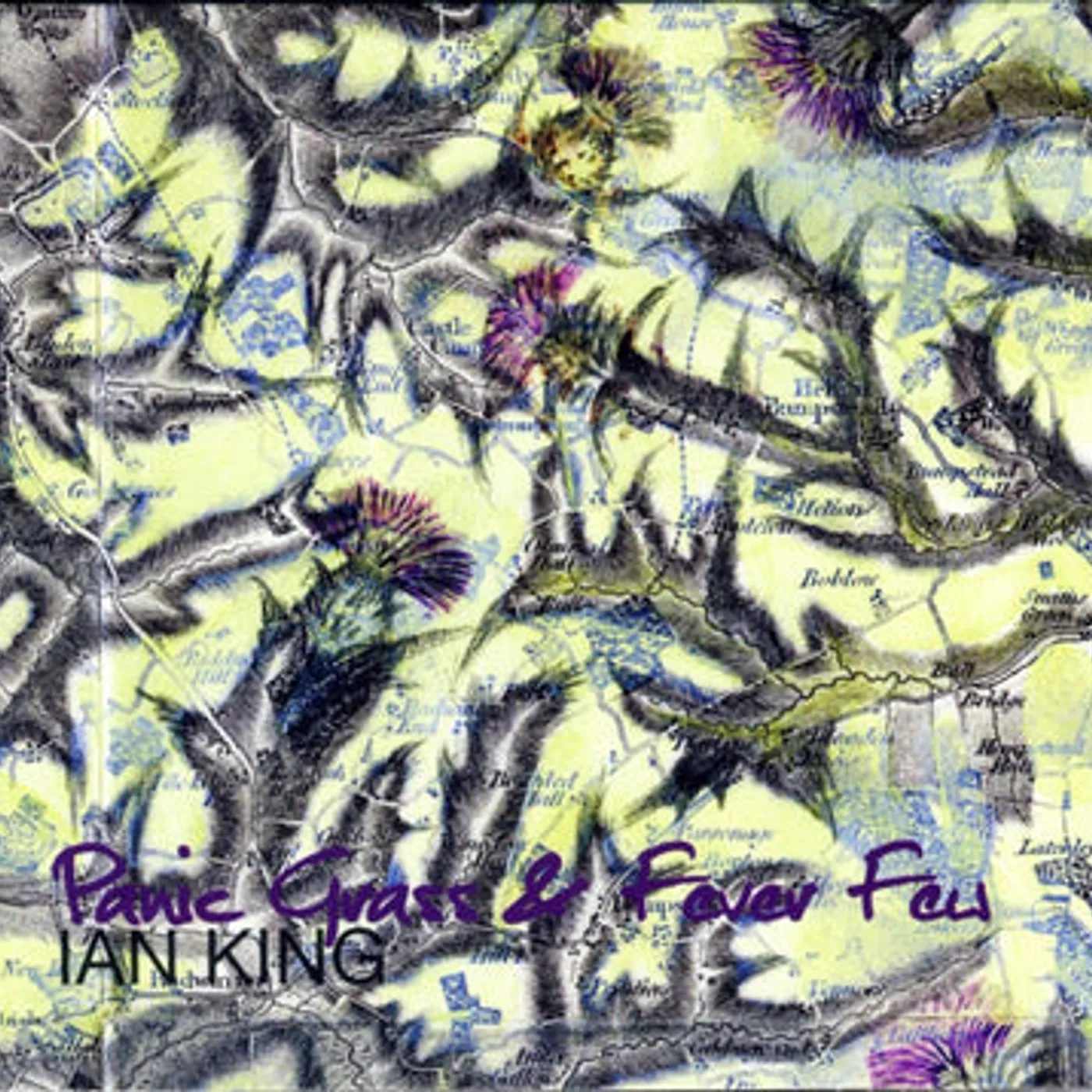 Ian King LP - Panic Grass & Fever Few (Vinyl)