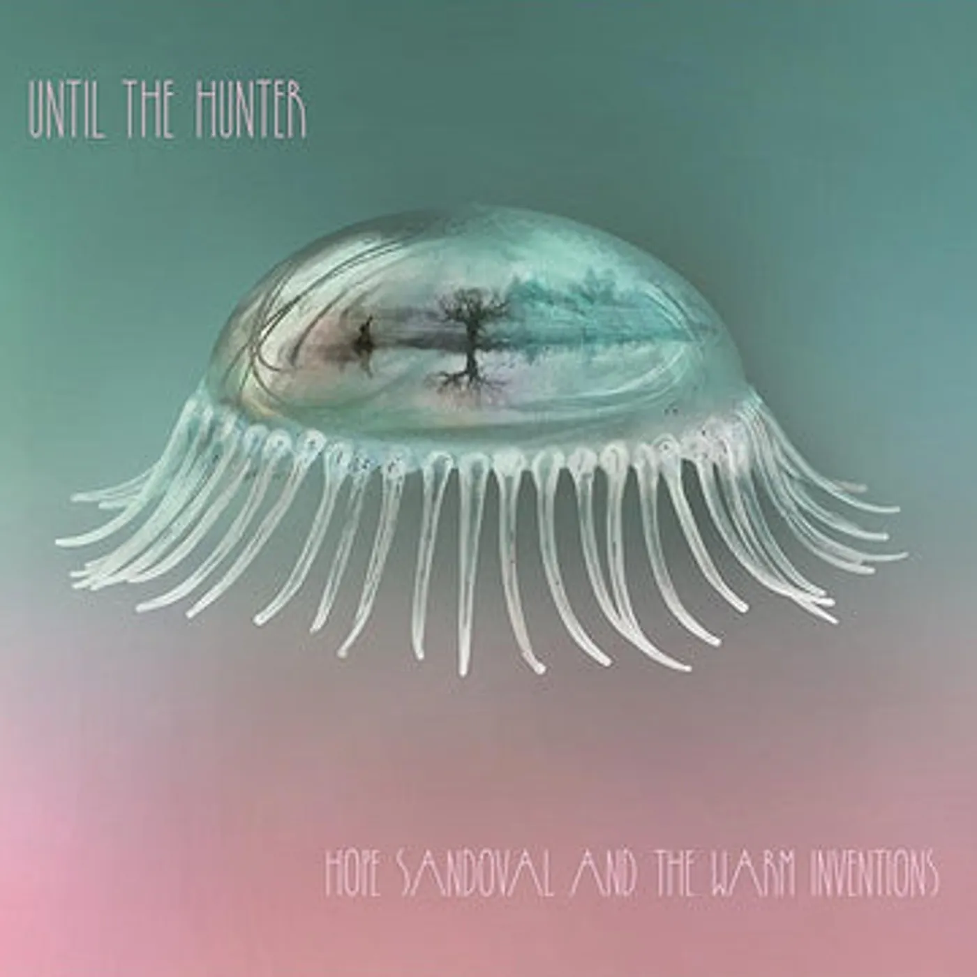 Hope Sandoval And The Warm Inv LP - Until The Hunter (Vinyl)