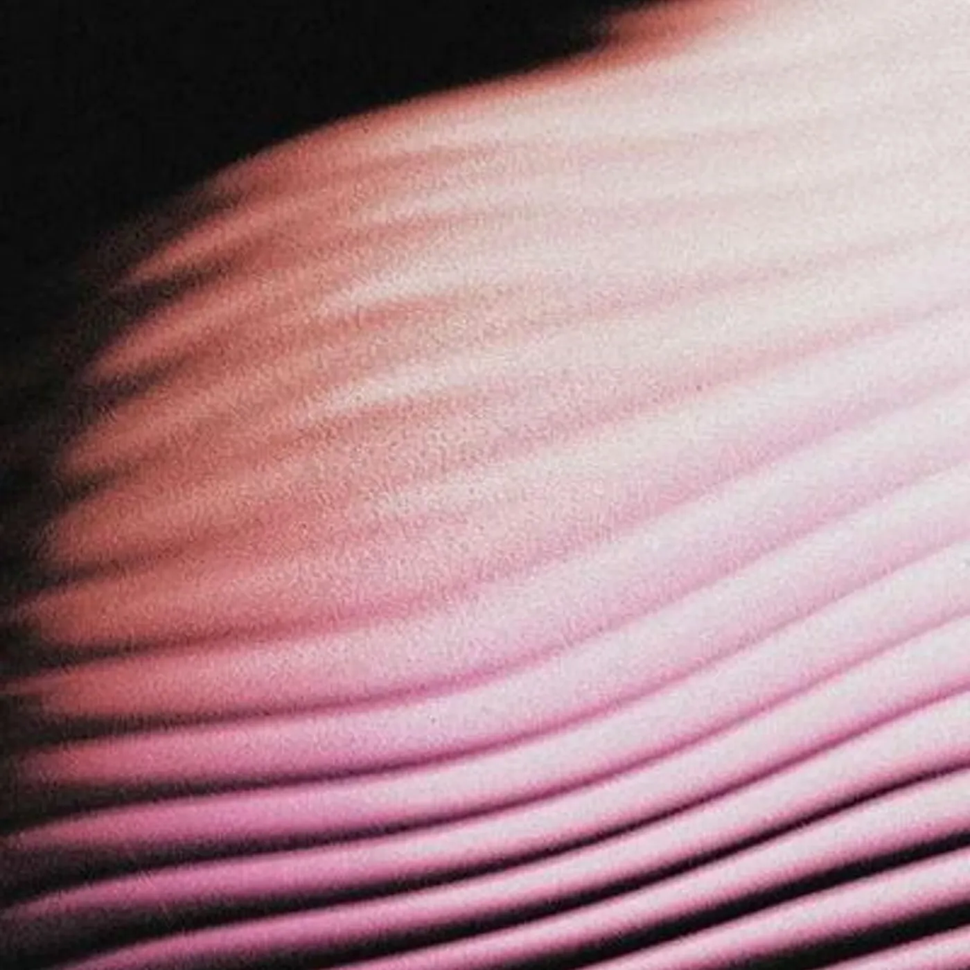 Polar LP - Everything  Everywhere (Vinyl)