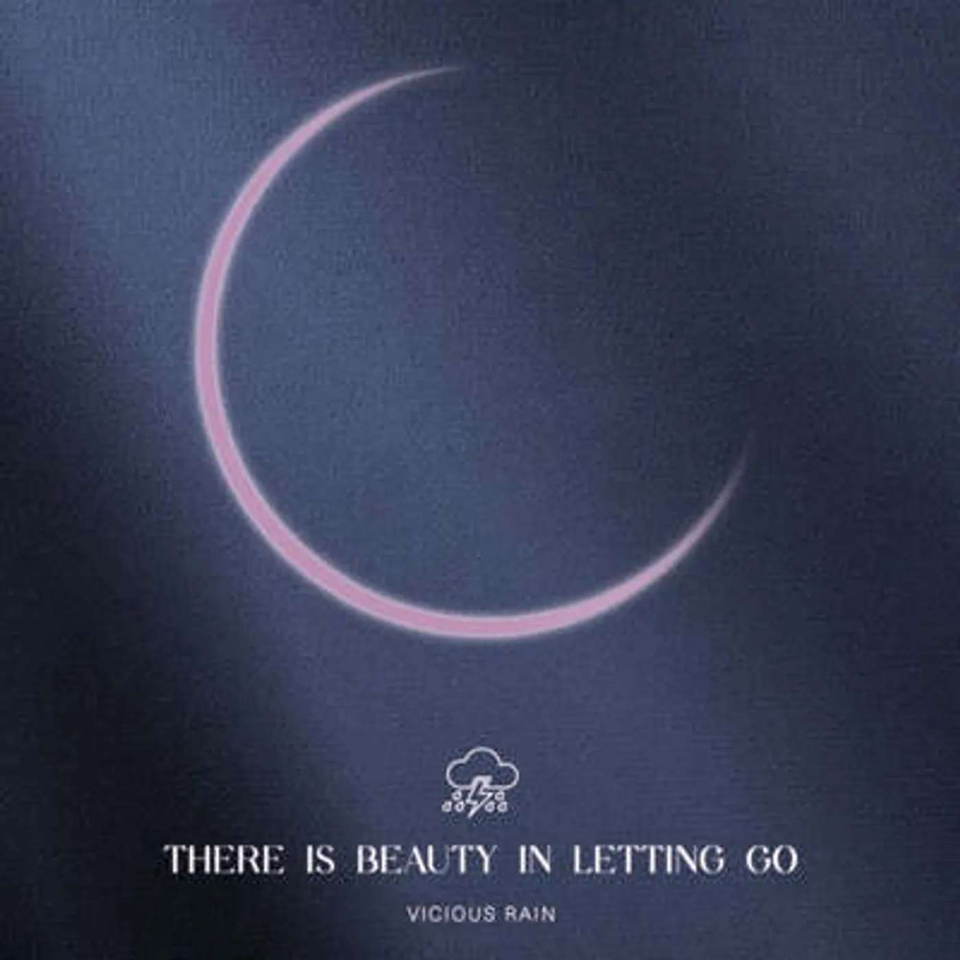 Vicious Rain LP - There Is Beauty In Letting Go (Vinyl)