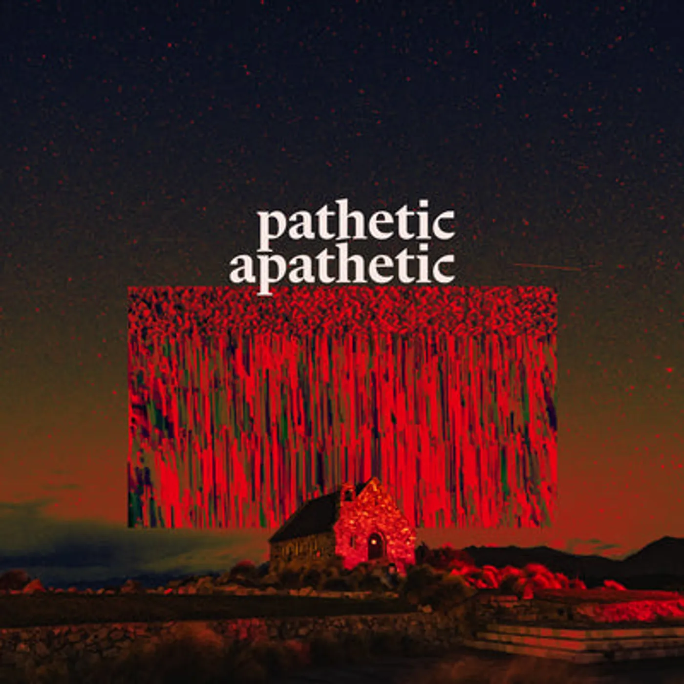 Indoor Pets LP - Pathetic Apathetic (Vinyl)