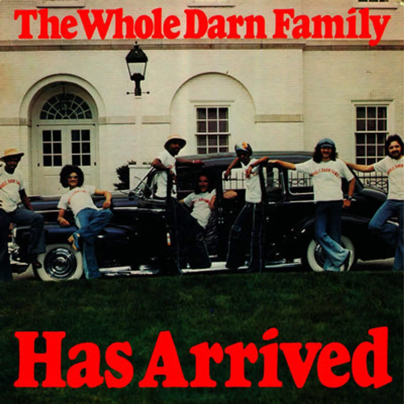 The Whole Darn Family LP - Has Arrived (Vinyl)