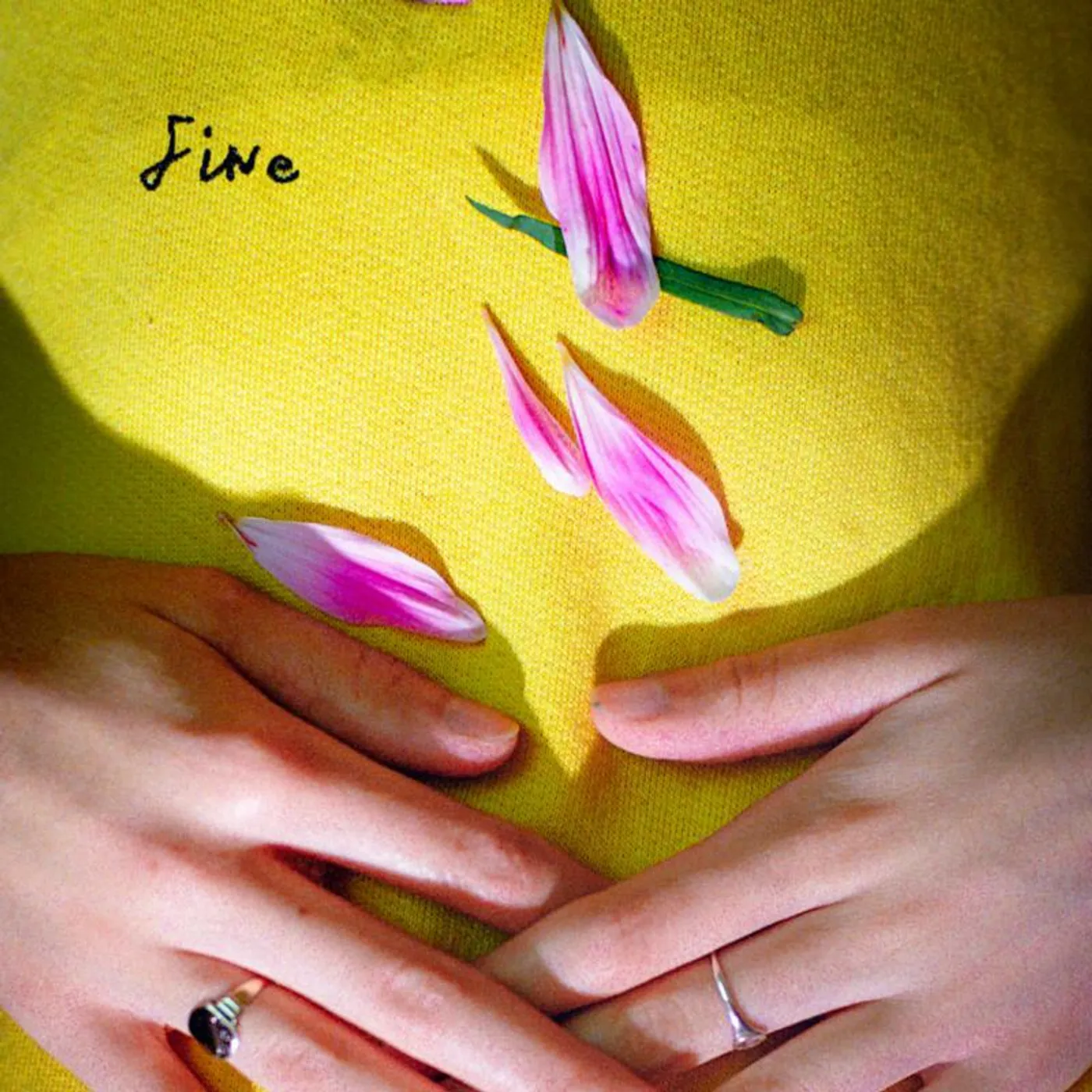 Rosehip Teahouse LP - Fine (Vinyl)