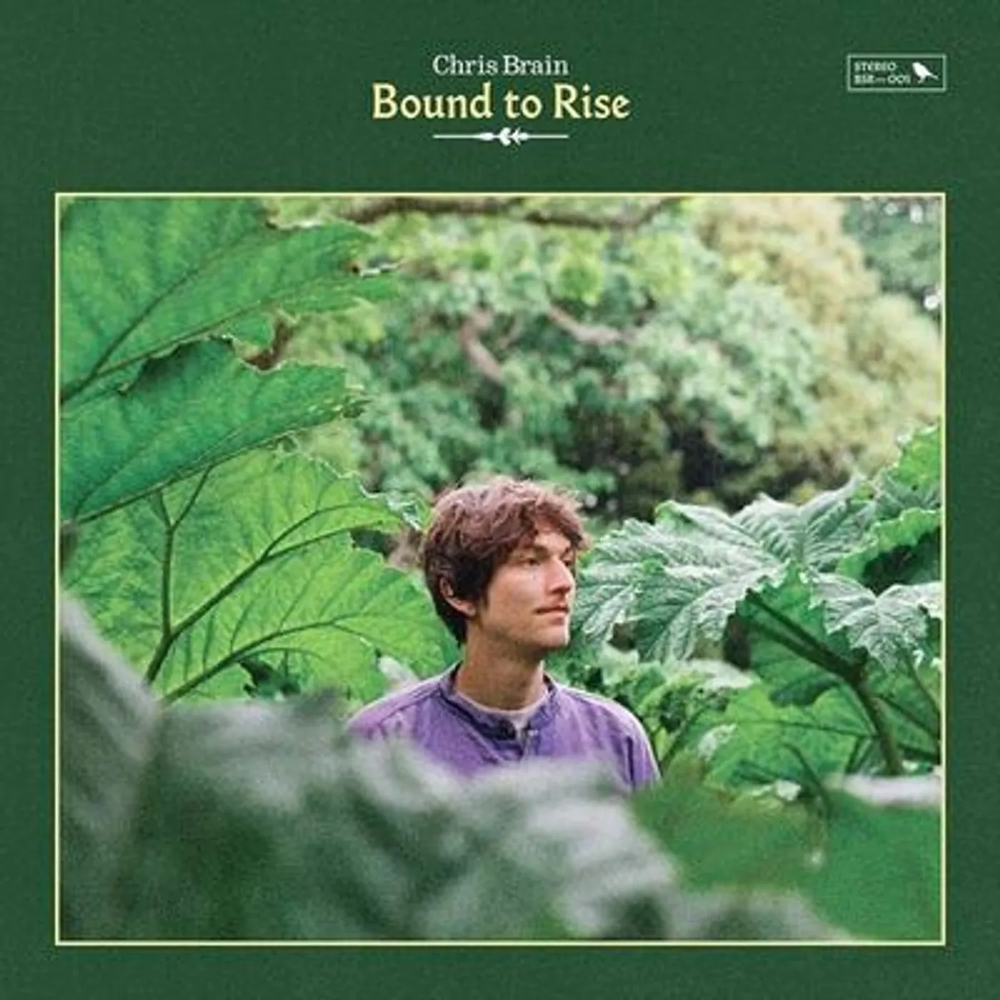 Chris Brain LP - Bound To Rise (Vinyl)