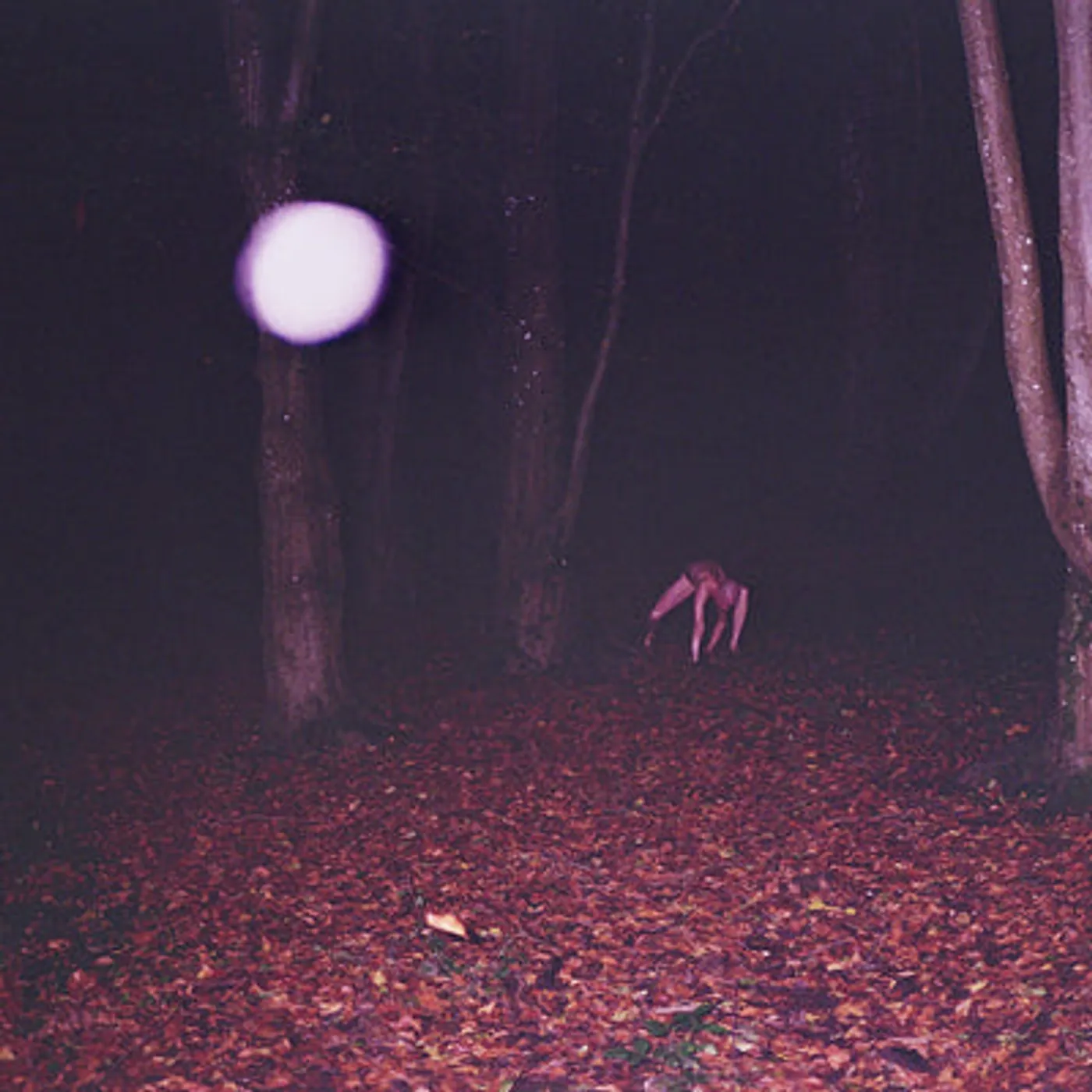 Buzzard Buzzard Buzzard LP - Skinwalker (Vinyl)