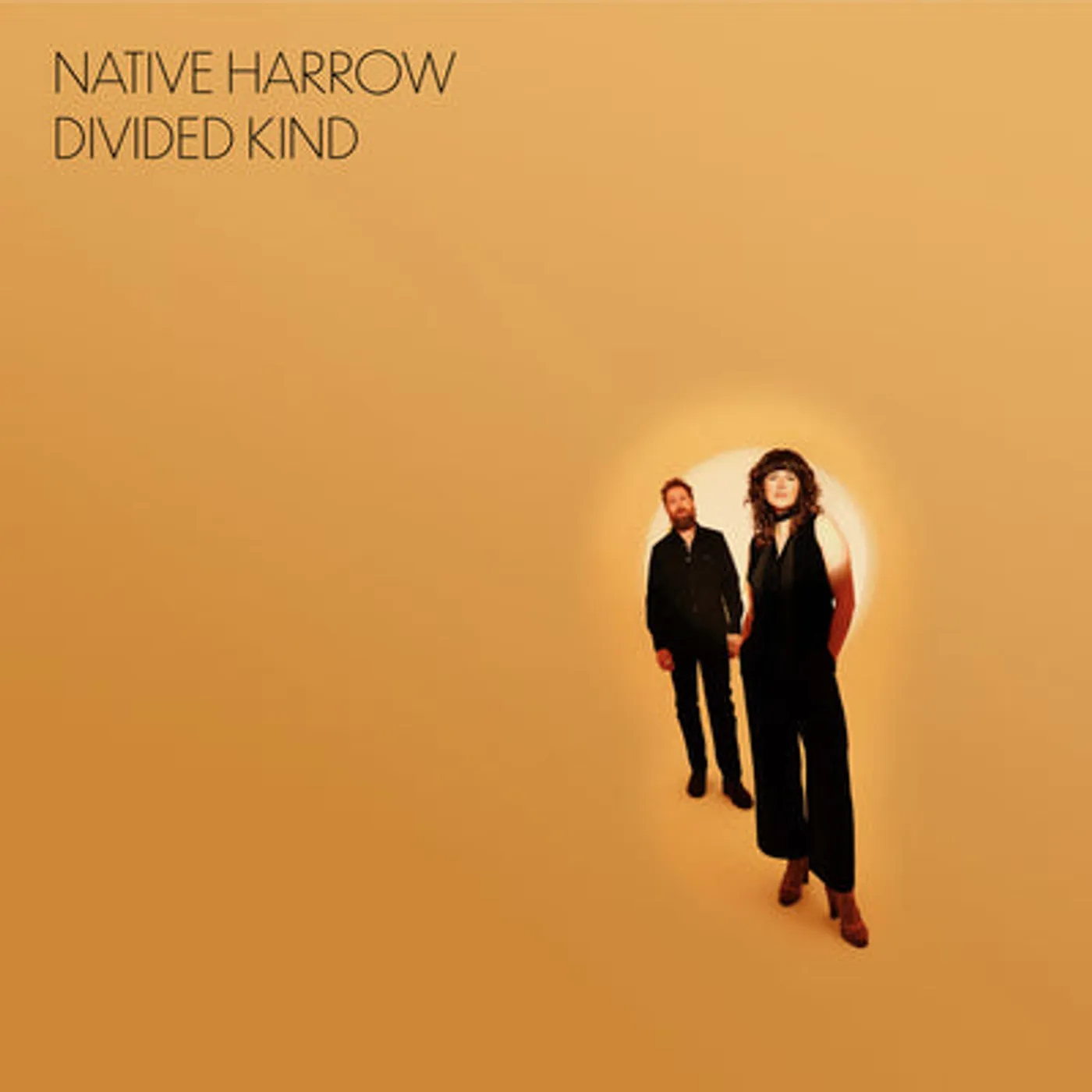 Native Harrow LP - Divided Kind (Vinyl)