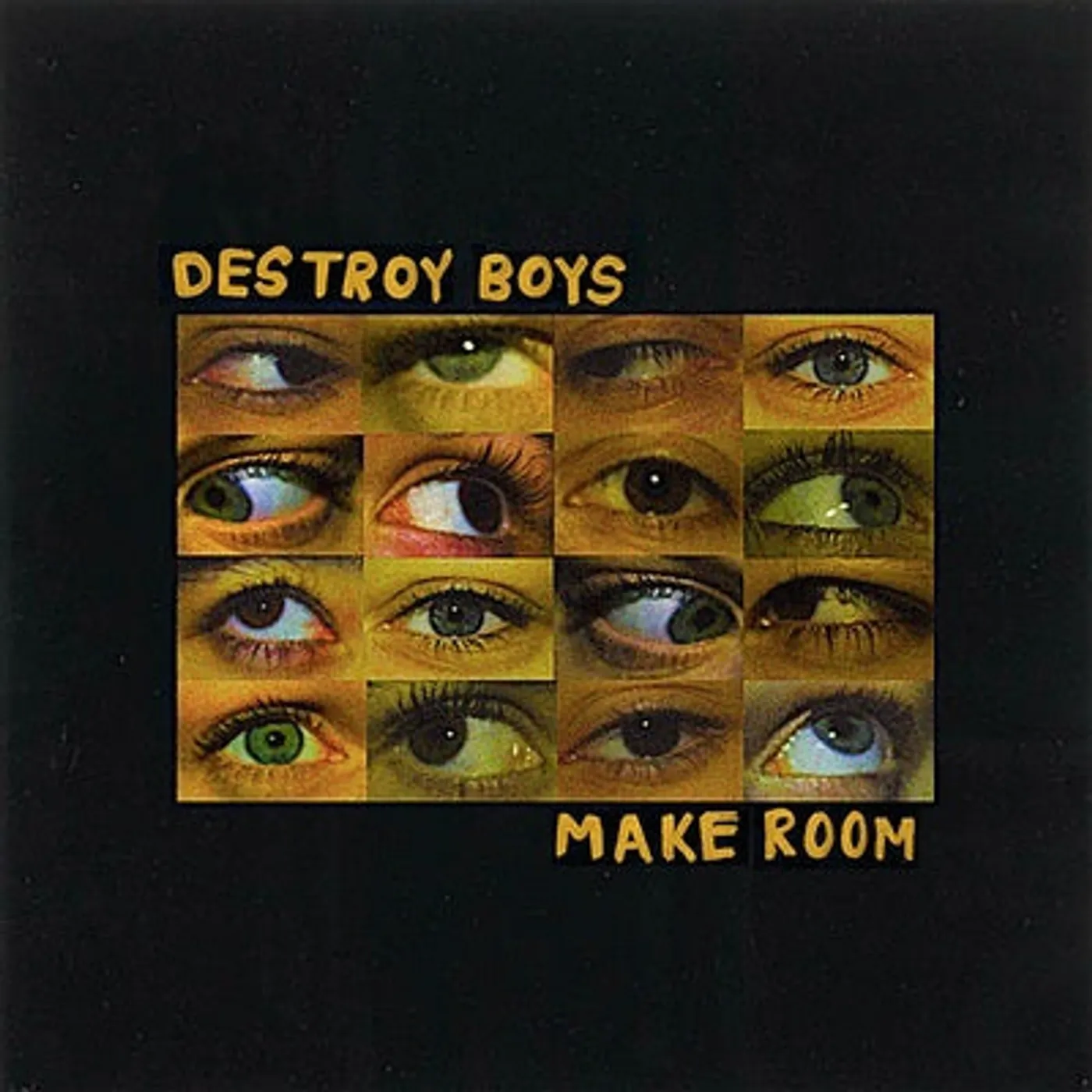 Destroy Boys LP - Make Room (Vinyl)