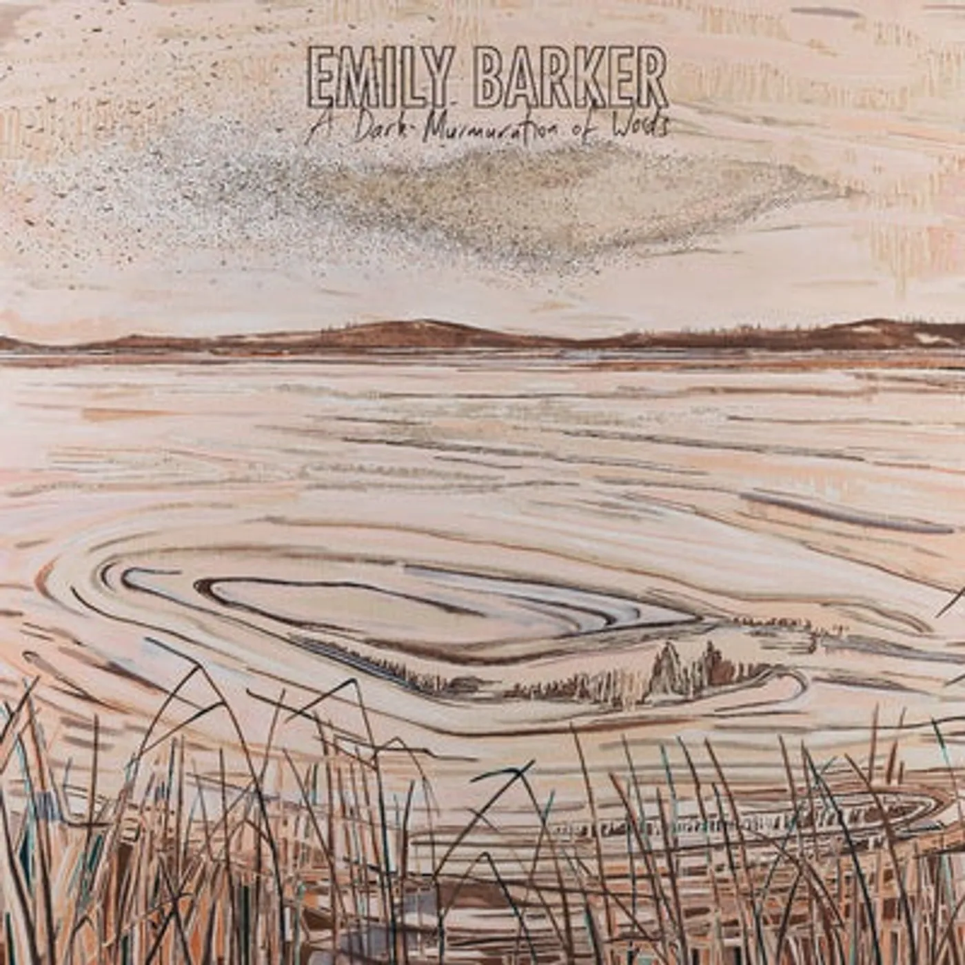 Emily Barker LP - A Dark Murmuration O (Vinyl)