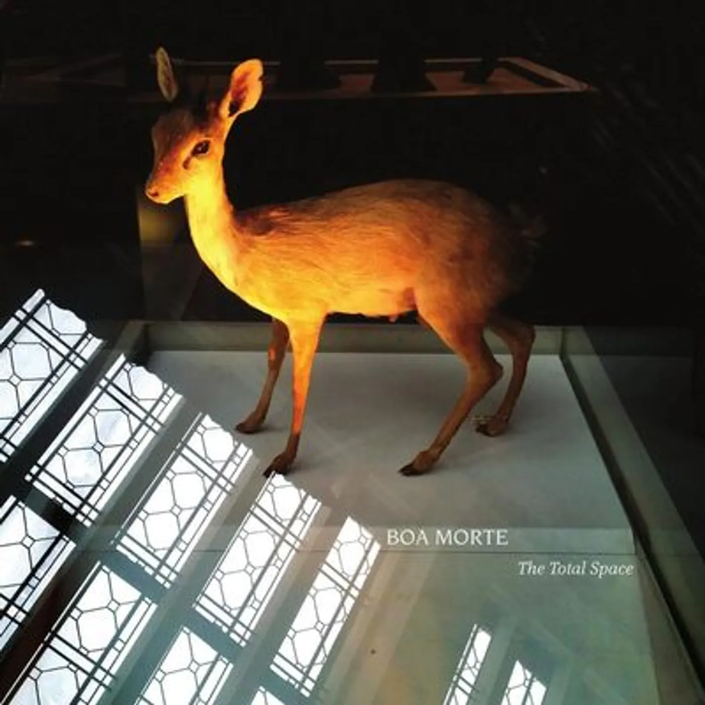 Boa Morte LP - The Total Space (Vinyl)