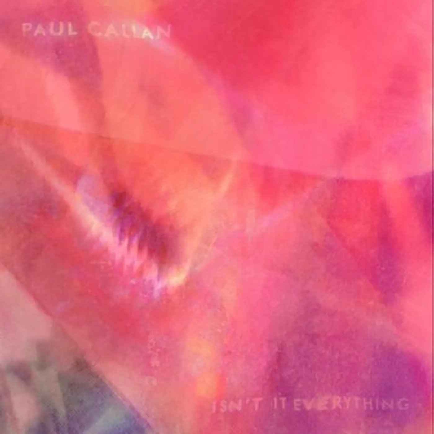 Paul Callan LP - Isnt It Everything (Vinyl)