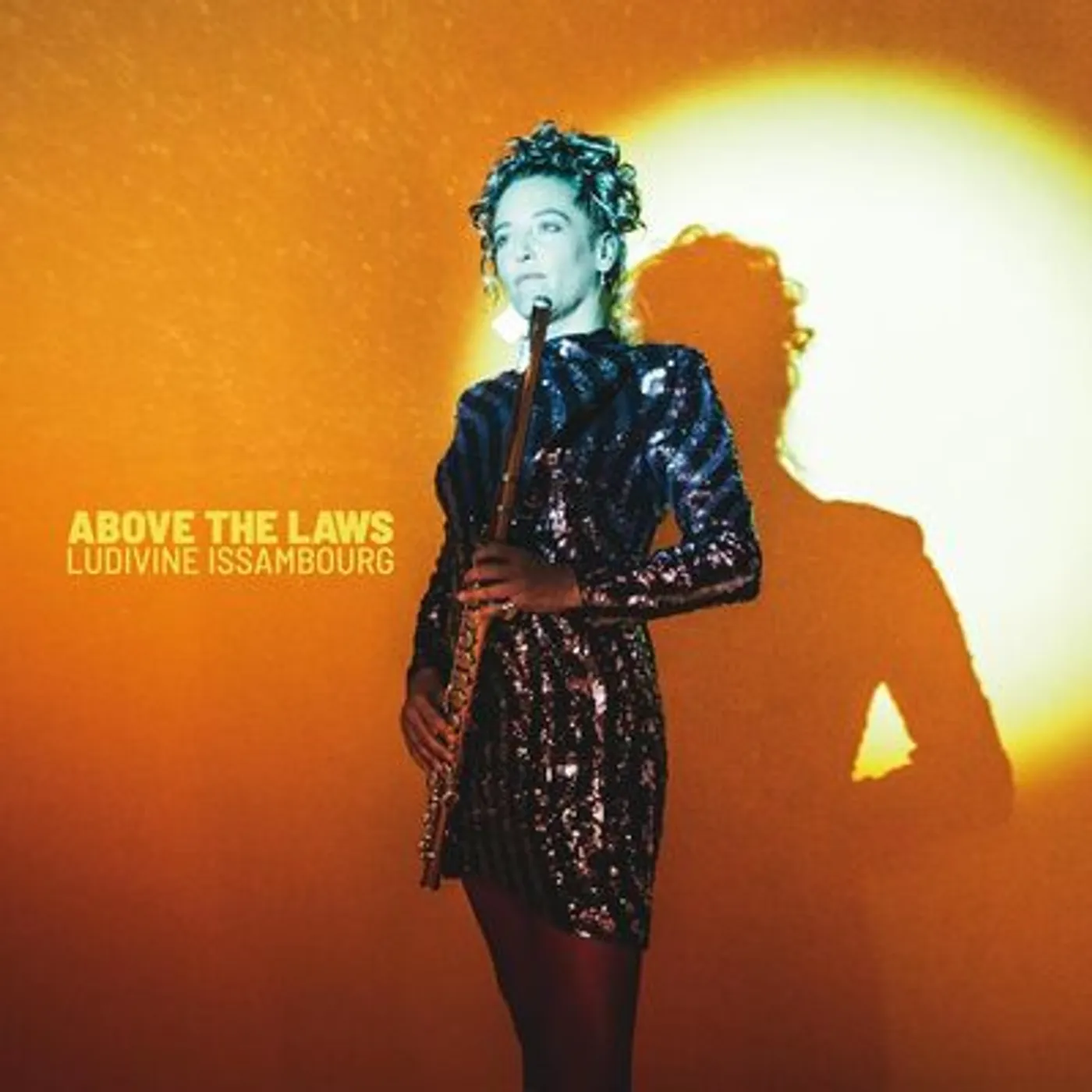 Ludivine Issambourg LP - Above The Laws (Vinyl)
