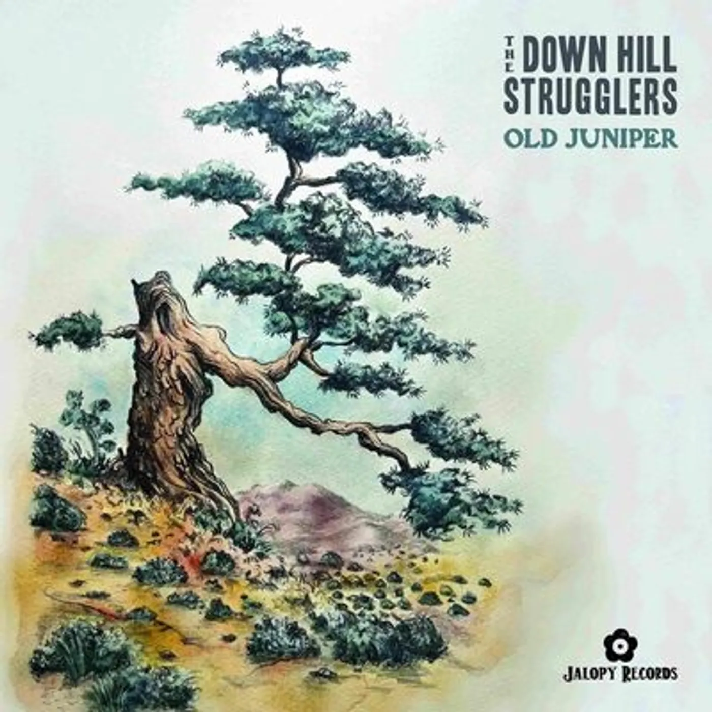 The Down Hill Strugglers LP - Old Juniper (Vinyl)