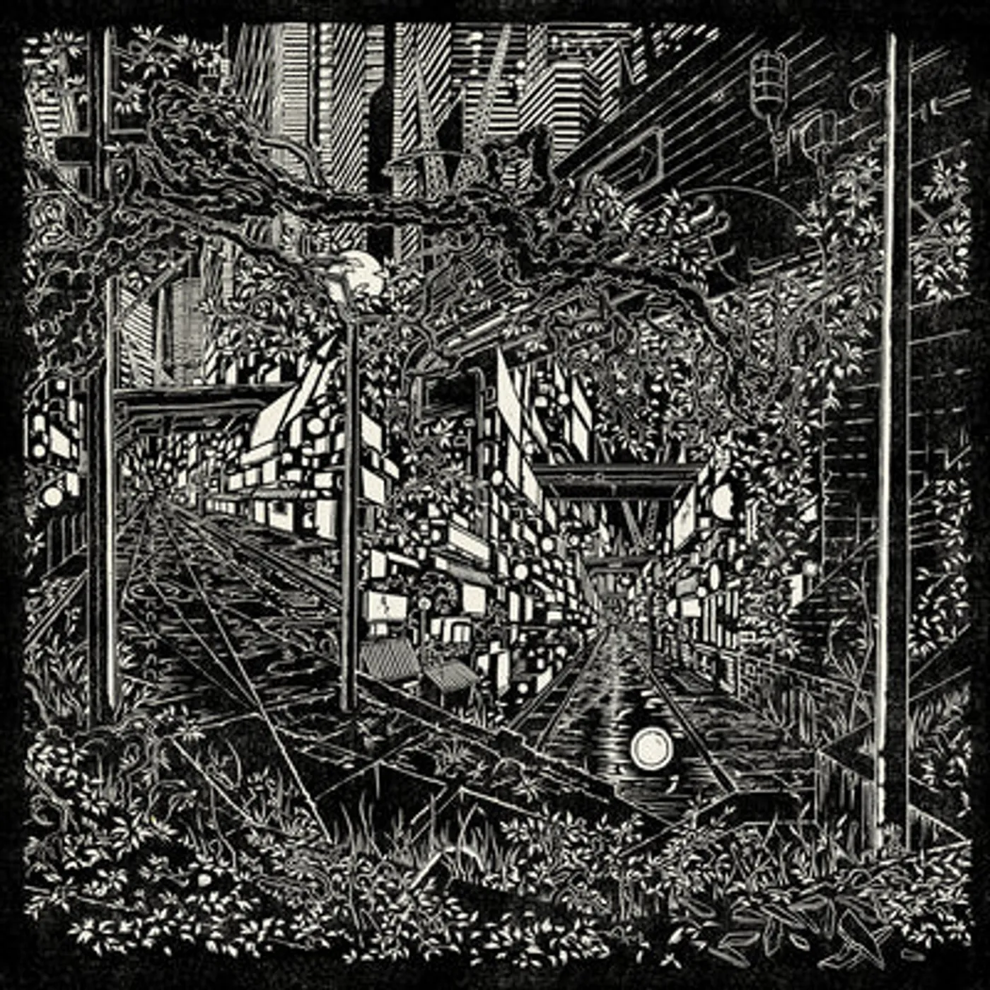 Jake Long LP - City Swamp (Vinyl)