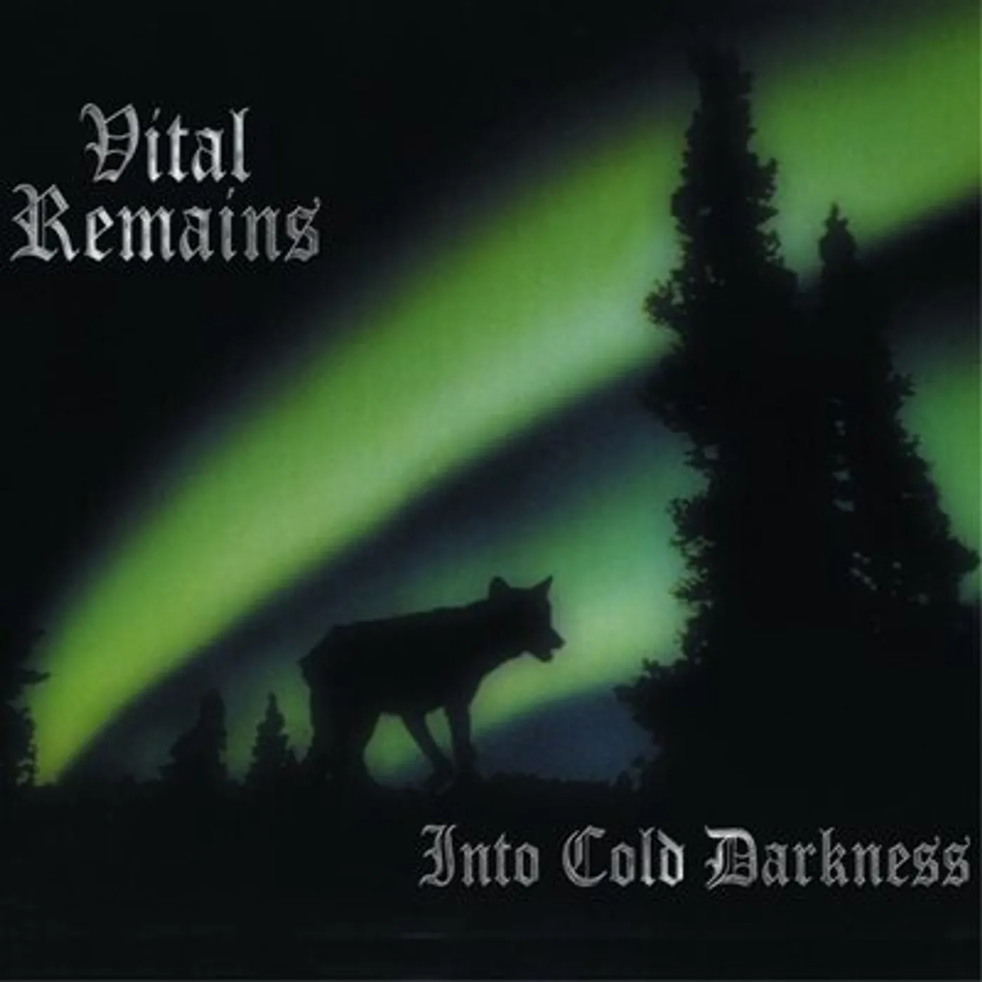 Vital Remains LP - Into Cold Darkness (Vinyl)
