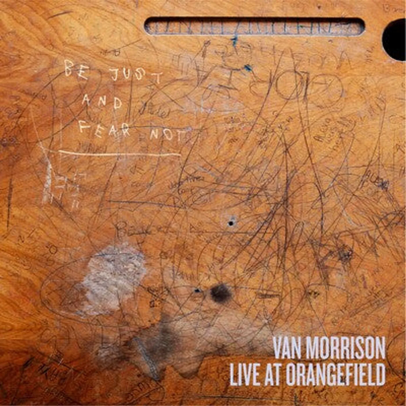 Van Morrison LP - Live At Orangefield (Vinyl)