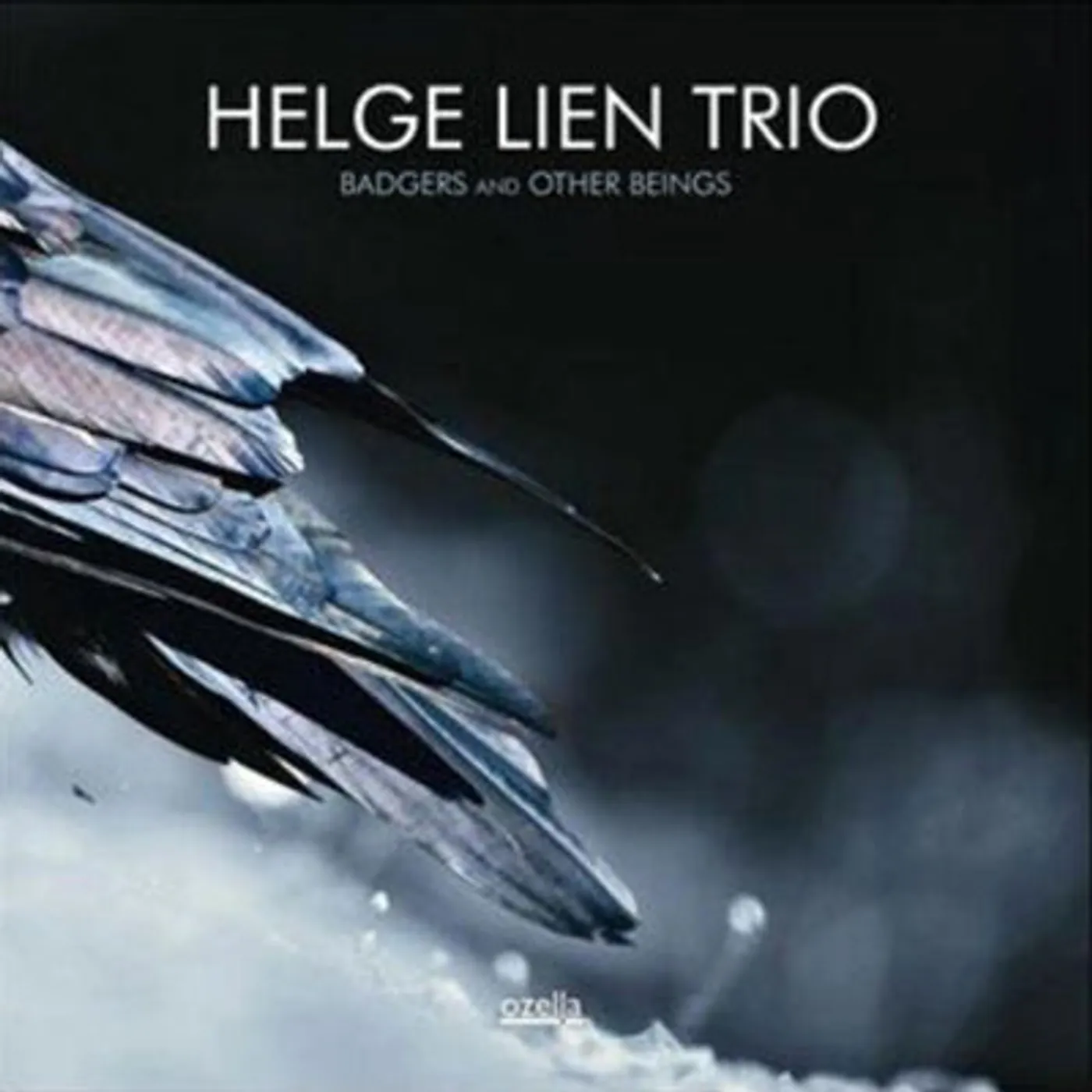 Helge Lien Trio LP - Badgers And Other Beings (Vinyl)