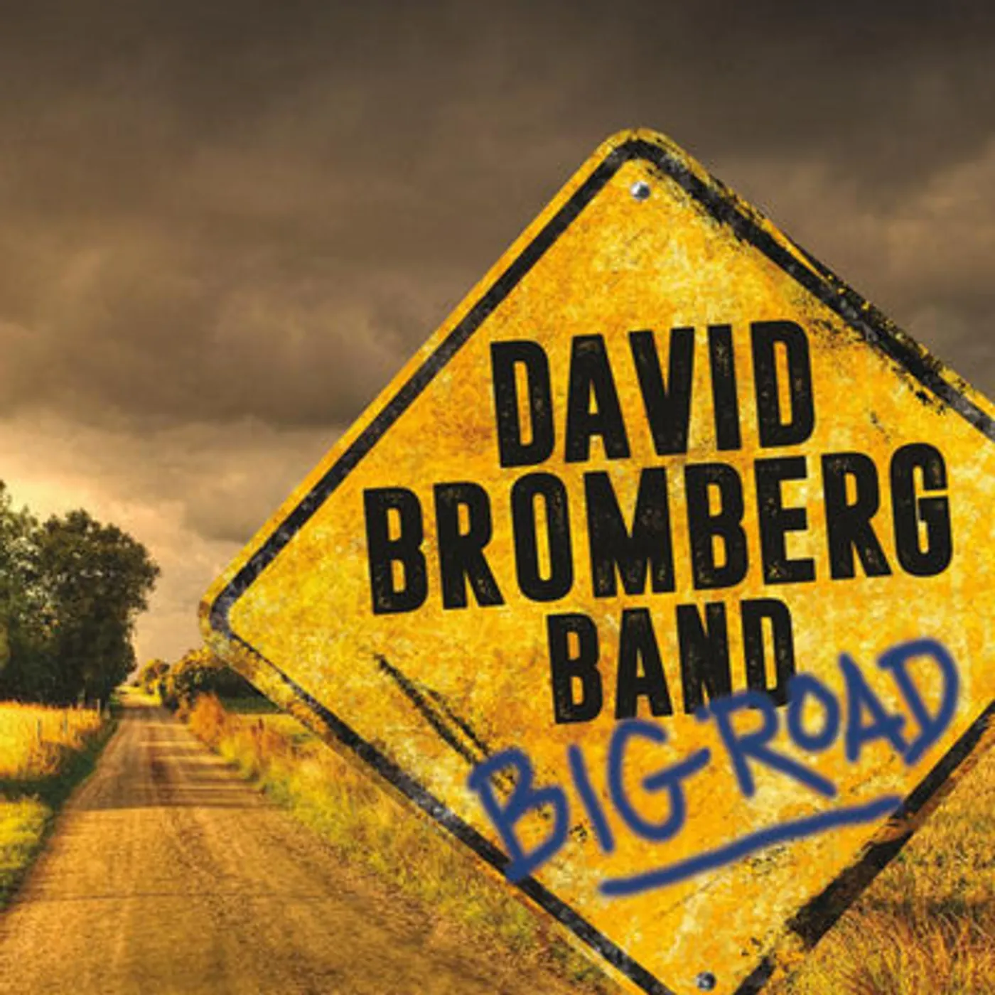 David Bromberg LP - Big Road (Vinyl)