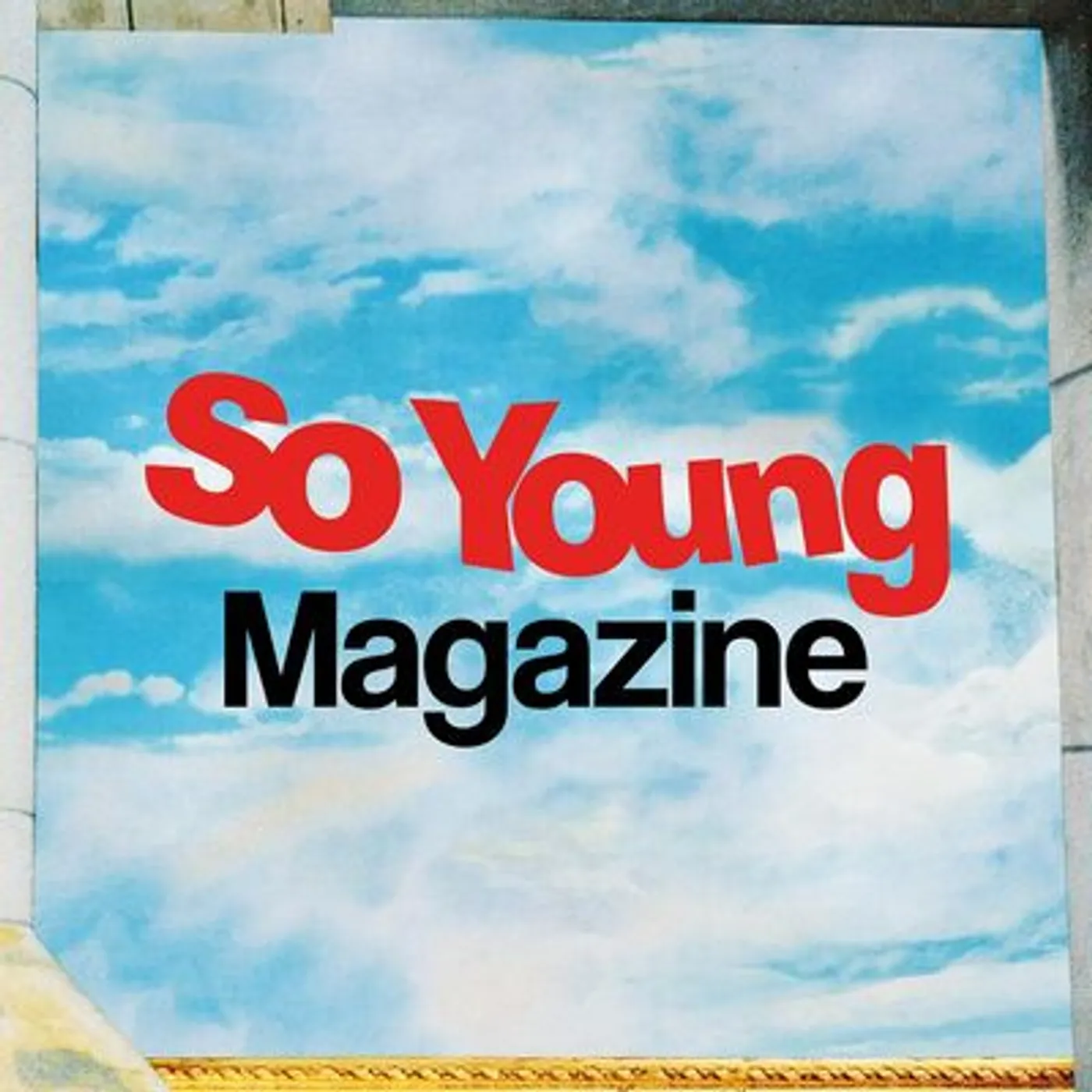 Various Artists LP - 10 Years Of So Young Magazine (Vinyl)