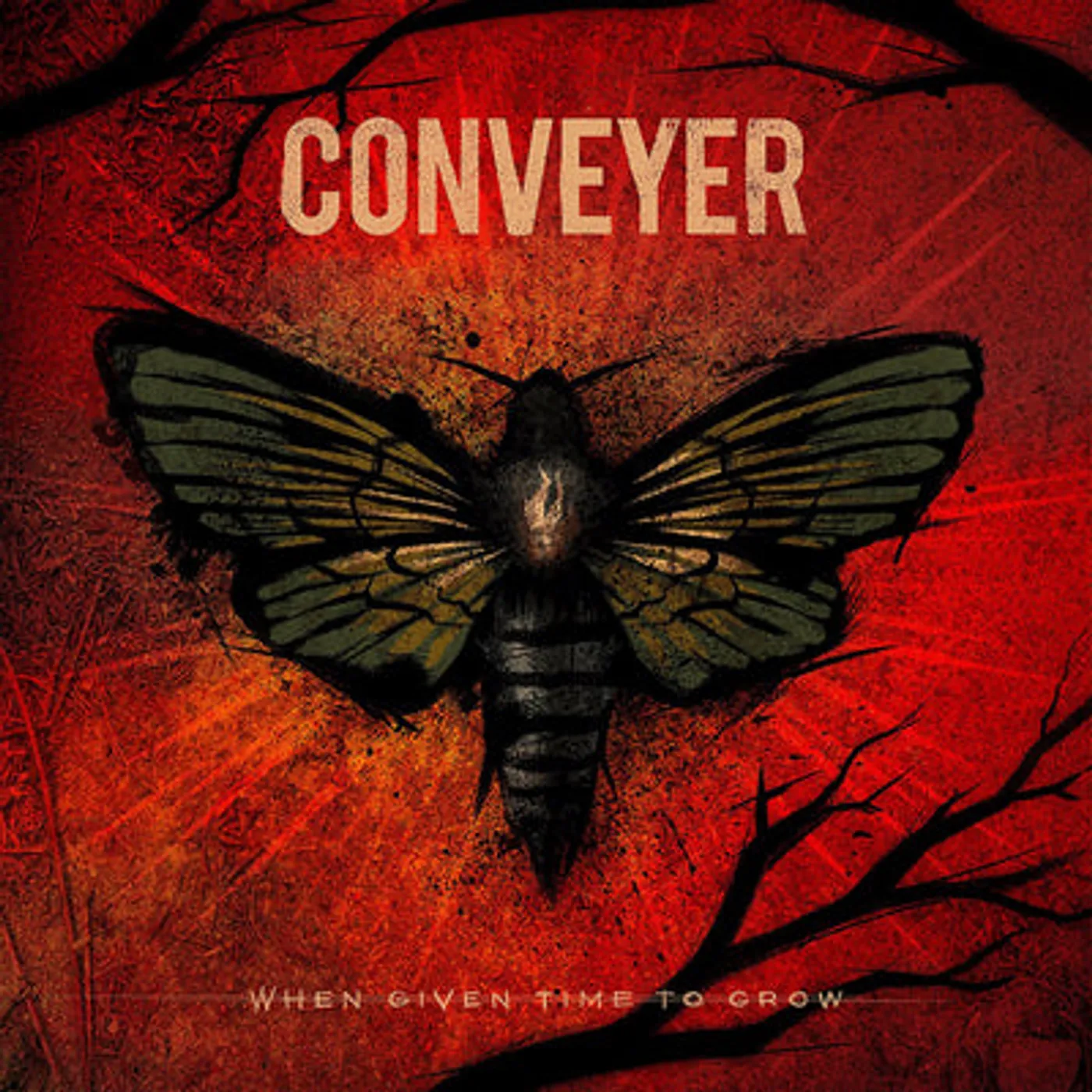 Conveyer LP - When Given Time To Grow (Vinyl)