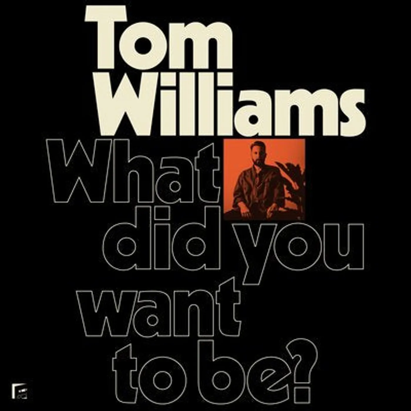 Tom Williams LP - What Did You Want To Be? (Vinyl)
