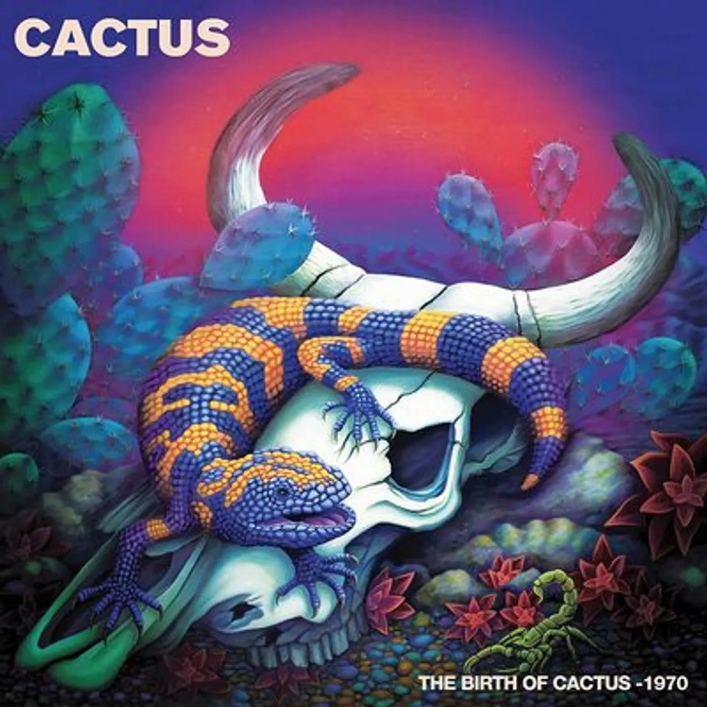 Cactus LP - Birth Of Cactus - 1970  The (Vinyl)