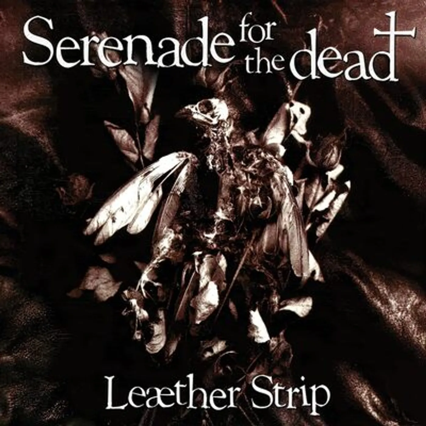 Leaher Strip Brand Page
