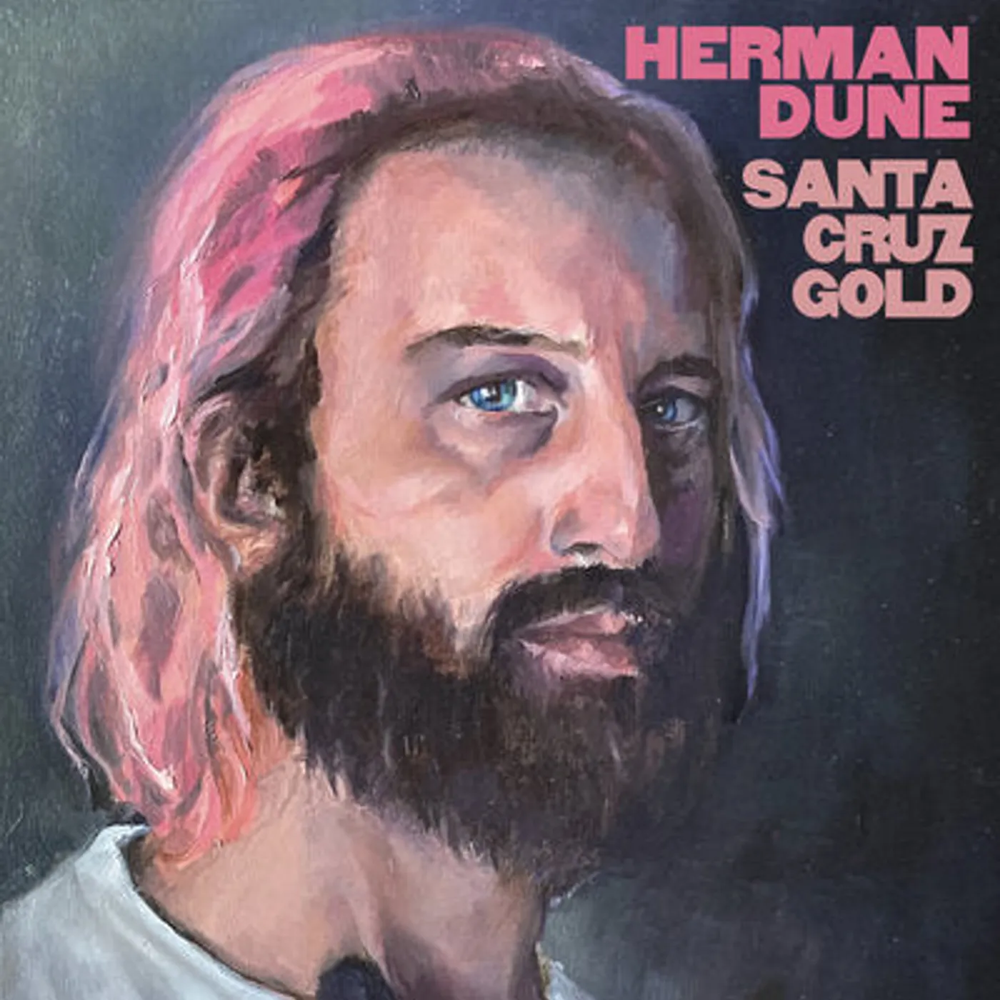 Herman Düne LP - Santa Cruz Gold (Vinyl)