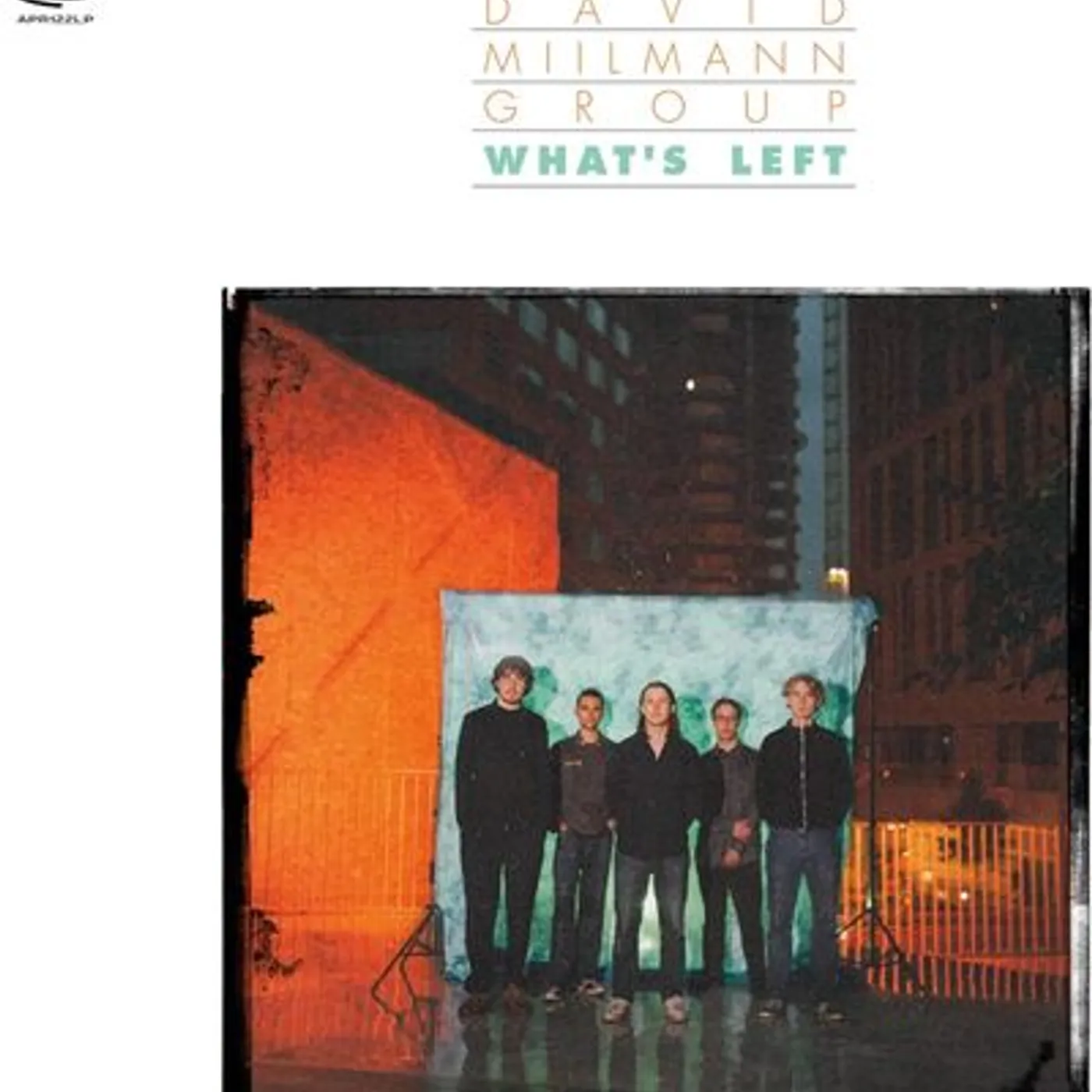 David Miilmann Group LP - Whats Left (Vinyl)