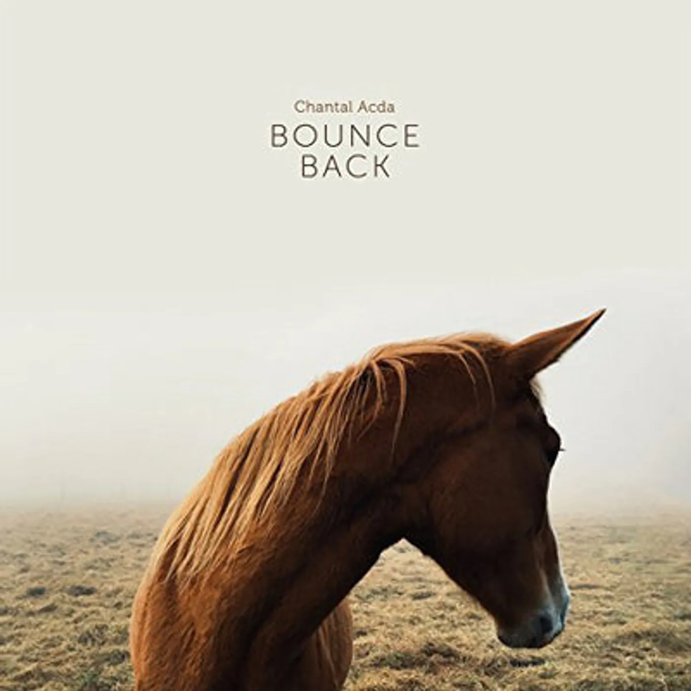 Chantal Acda LP - Bounce Back (Vinyl)