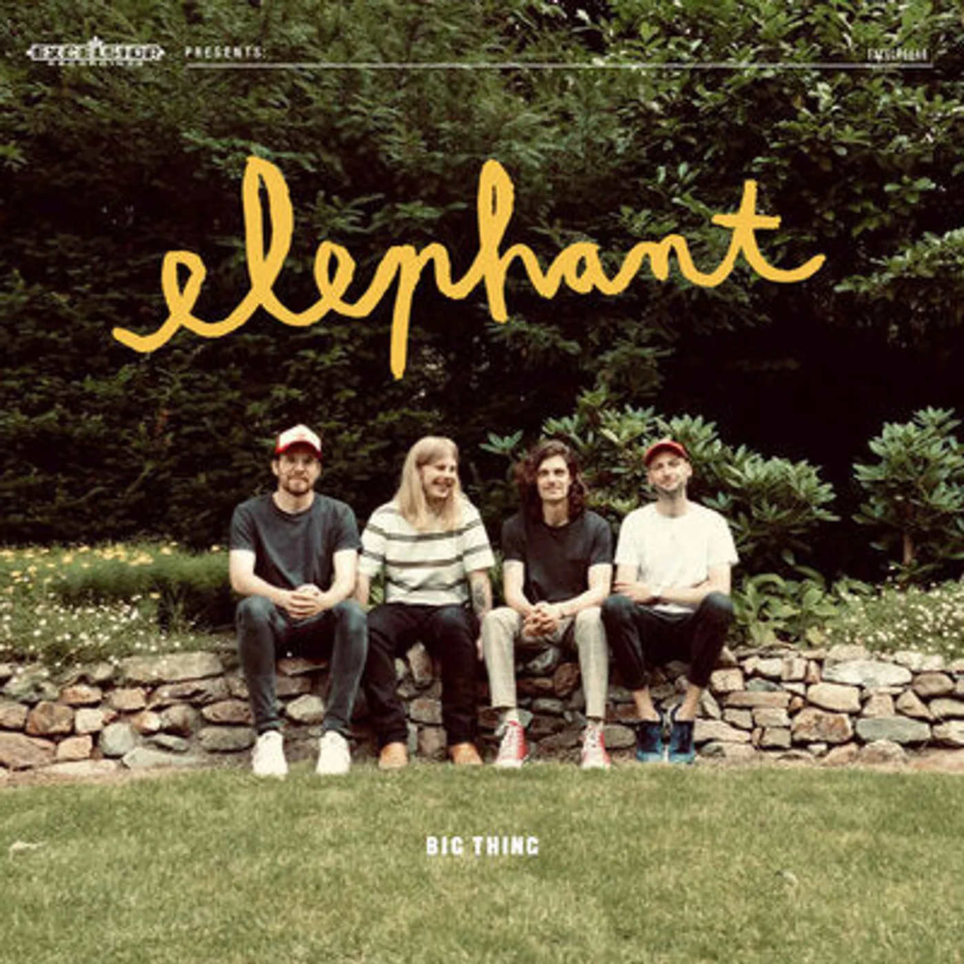 Elephant LP - Big Thing (Vinyl)