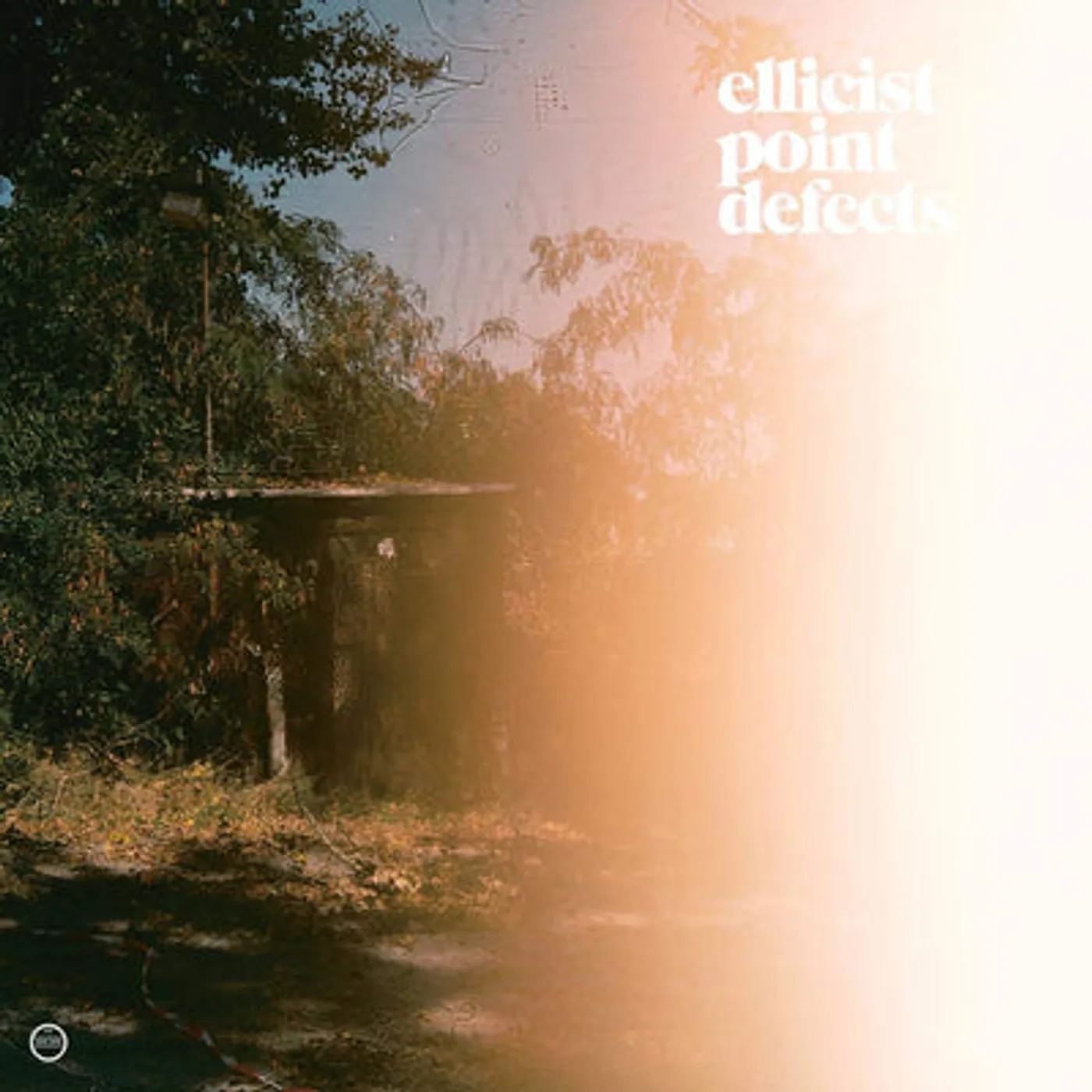 Ellicist LP - Point Defects (Vinyl)