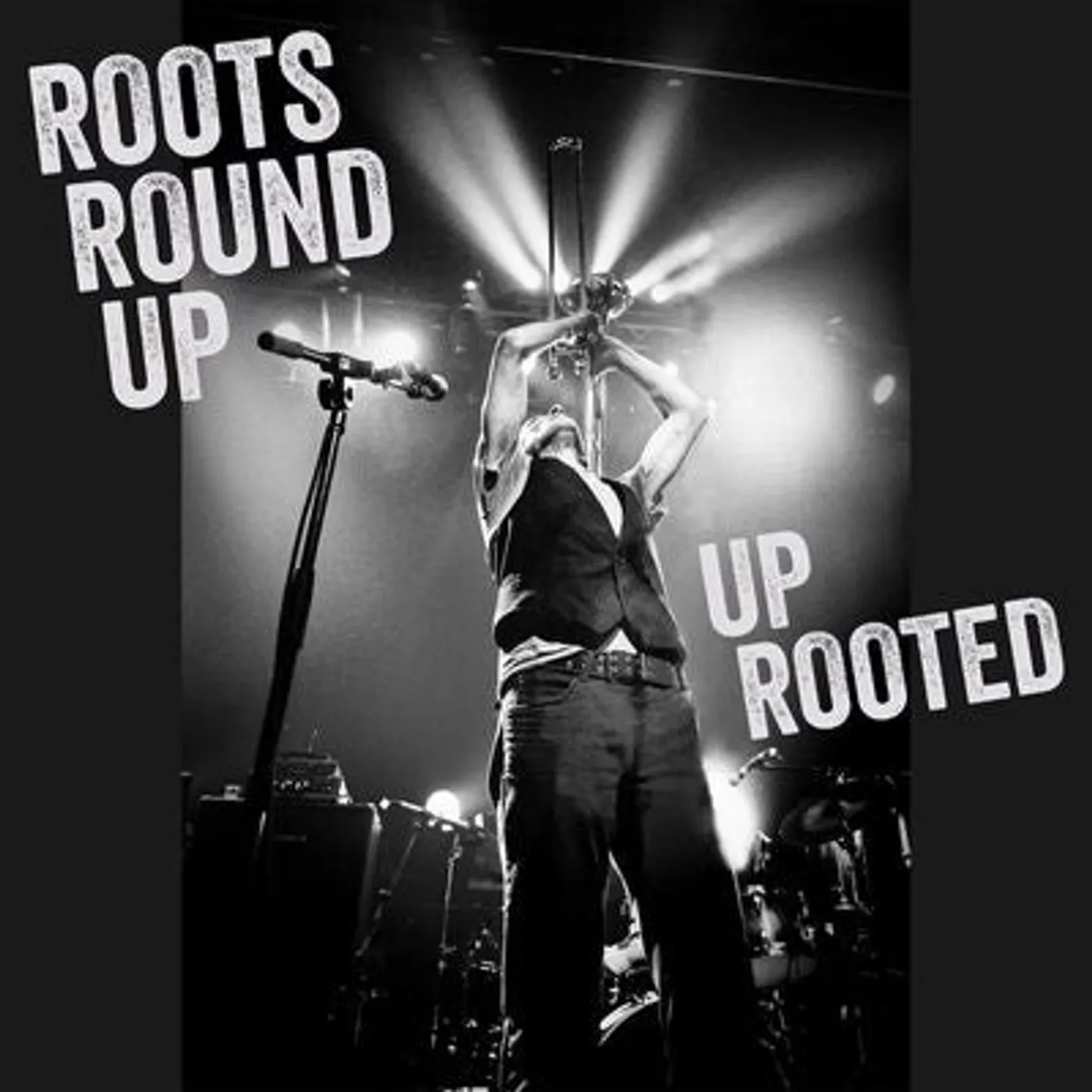 Roots Round Up LP - Up Rooted (Vinyl)