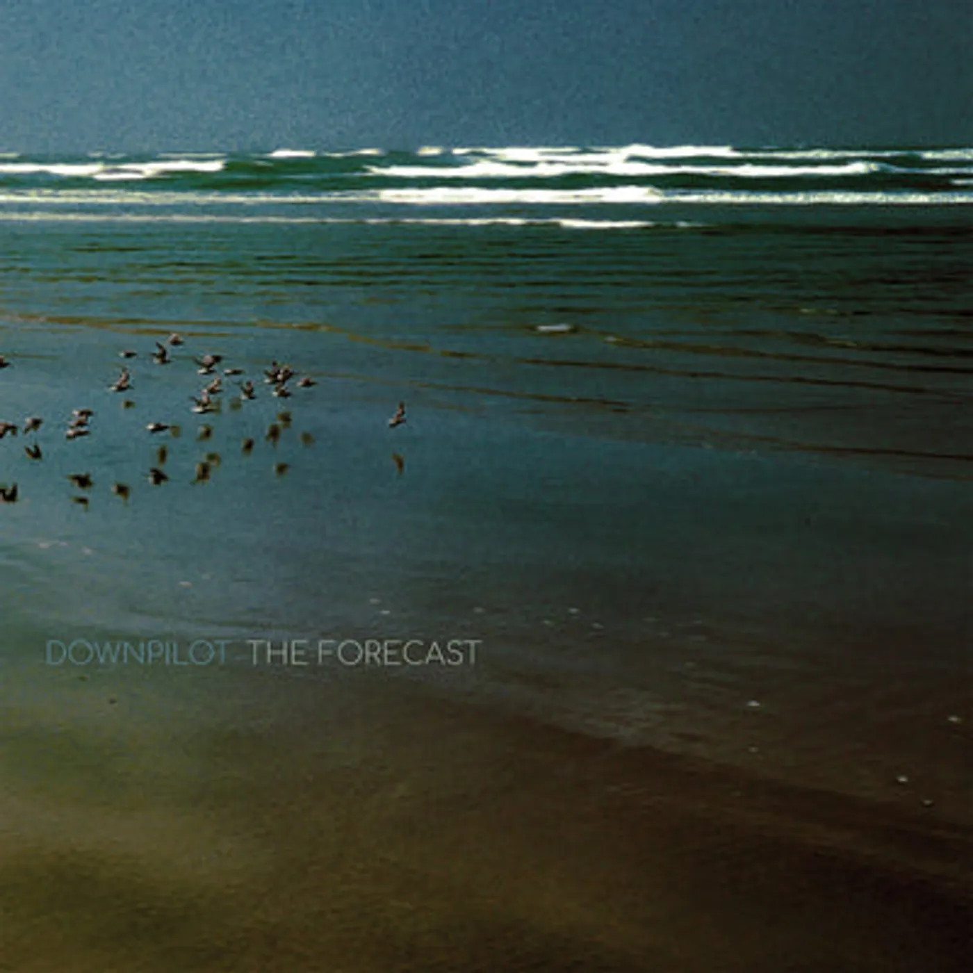 Downpilot LP - Forecast The (Vinyl)