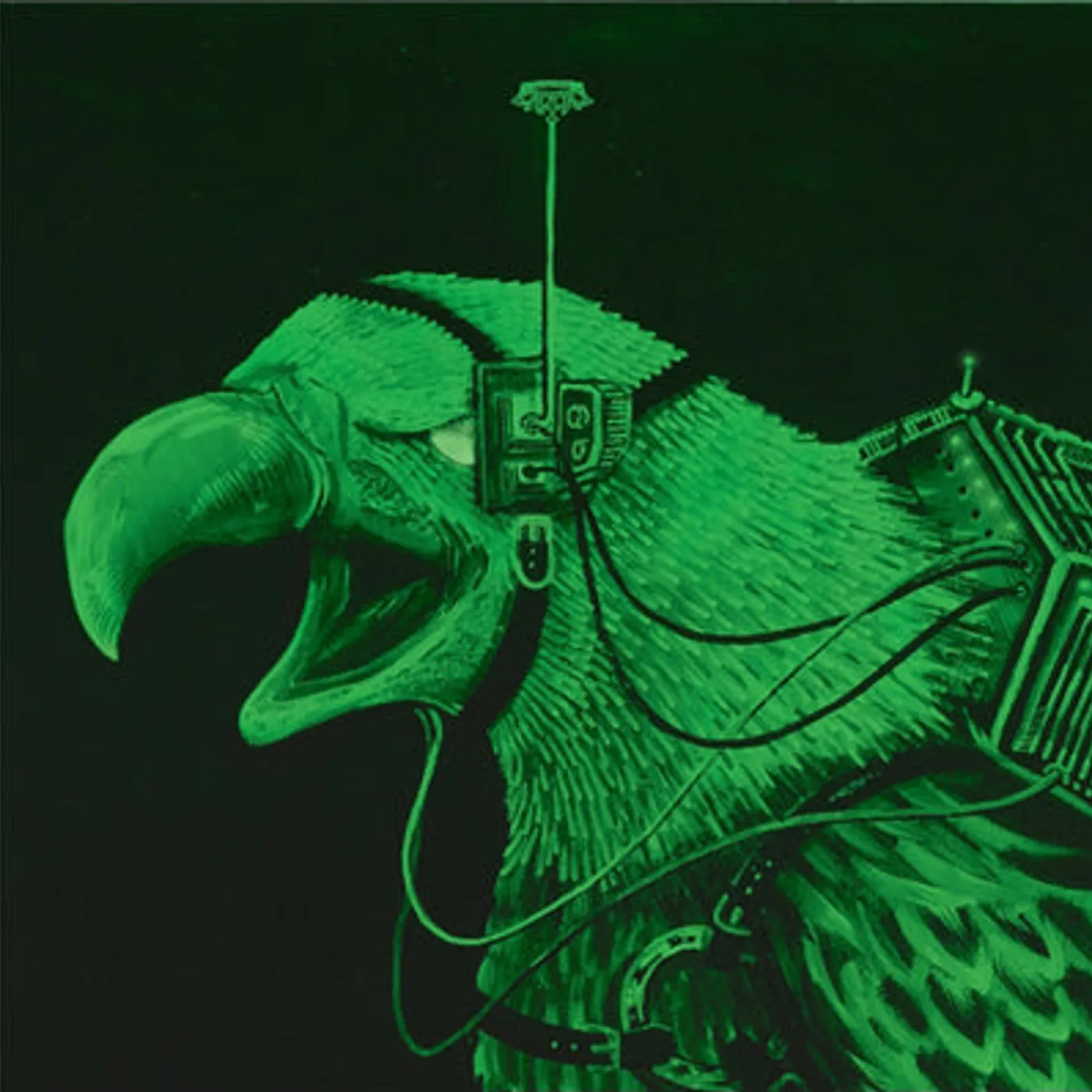Regents LP - Antietam After Party (Vinyl)