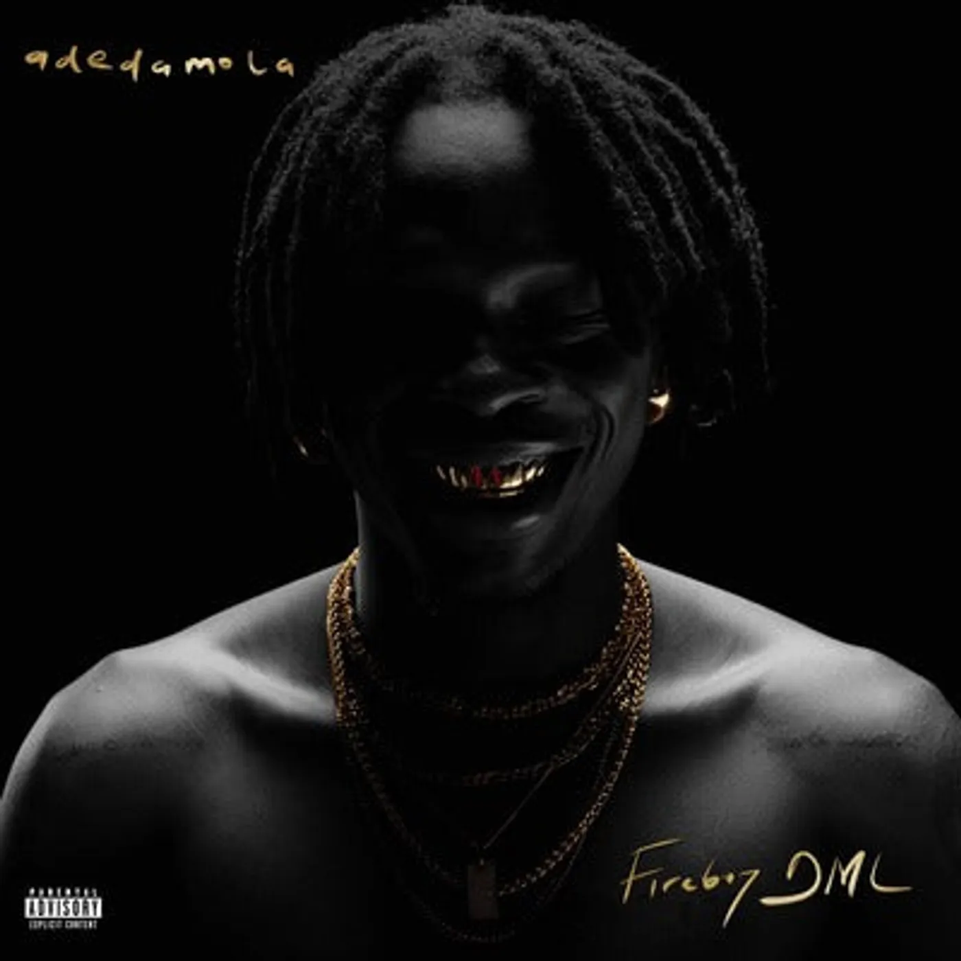 Fireboy DML LP - Adedamola (Vinyl)