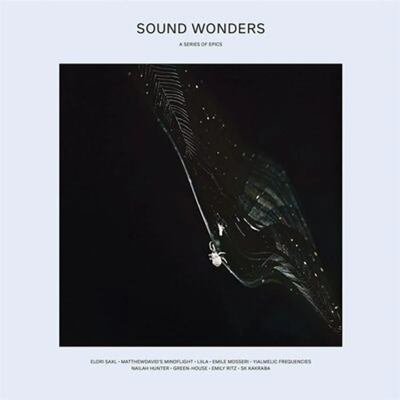 Various Artists LP - Sound Wonders (Vinyl)