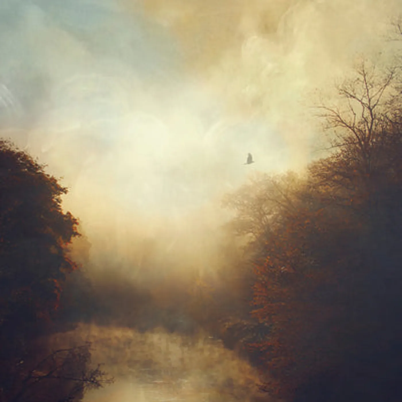 Stray Theories LP - This Light (Vinyl)