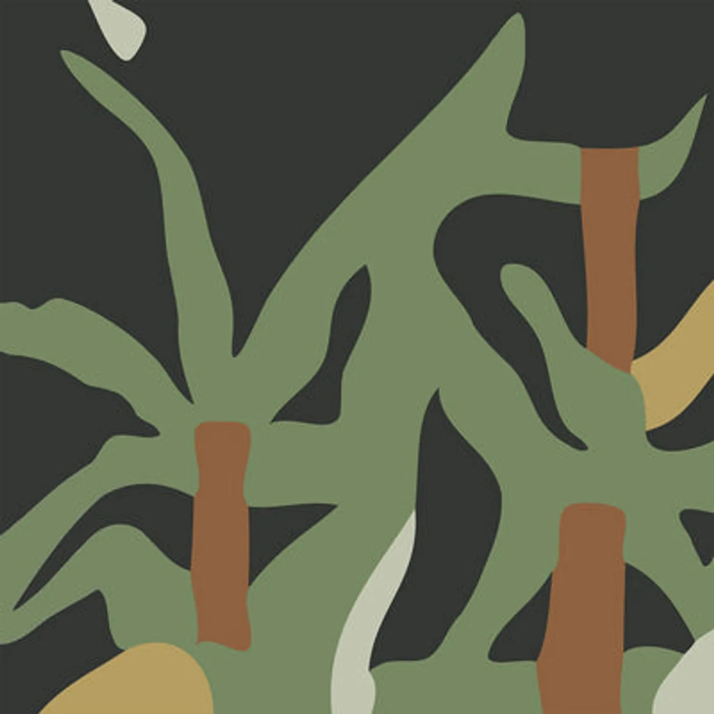 Valet LP - Nature (Vinyl)