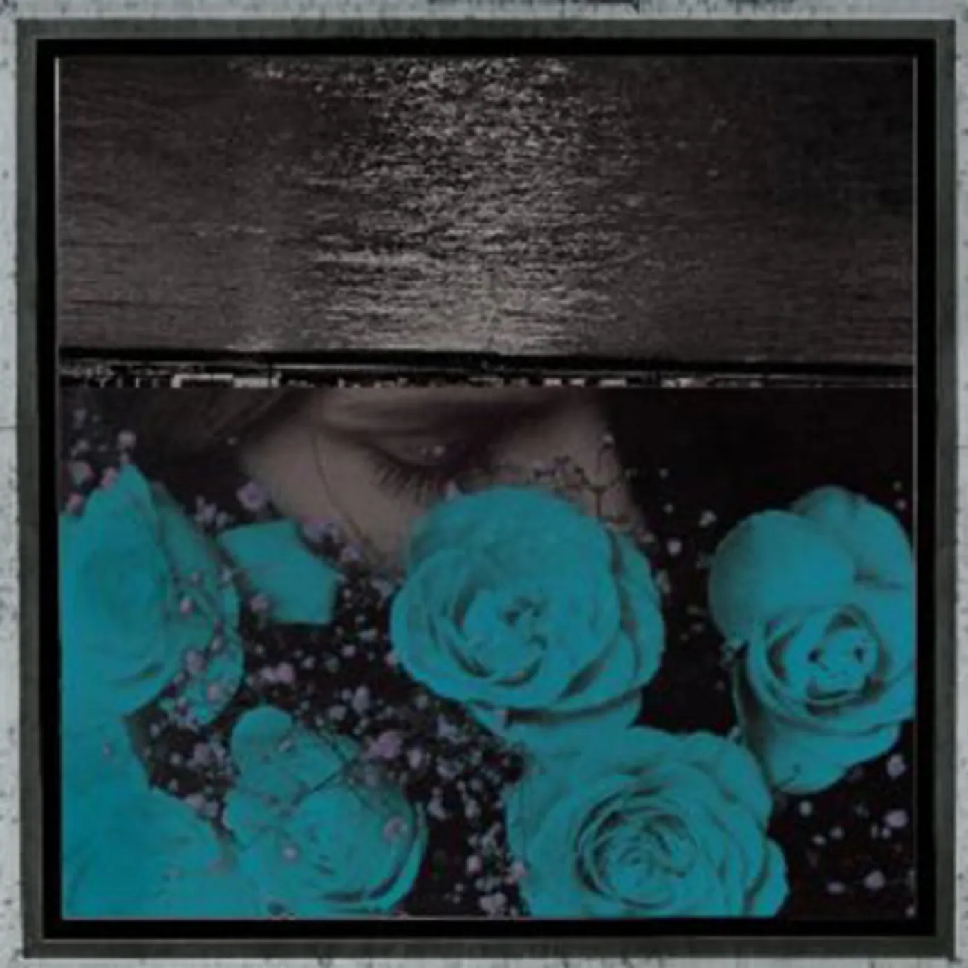 Jessica Bailiff LP - At The Down Turned Jagged Rim (Vinyl)