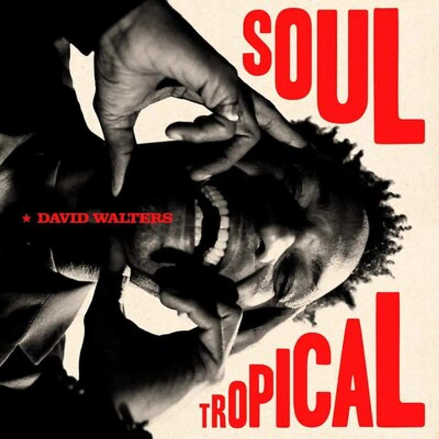 David Walters LP - Soul Tropical (Vinyl)