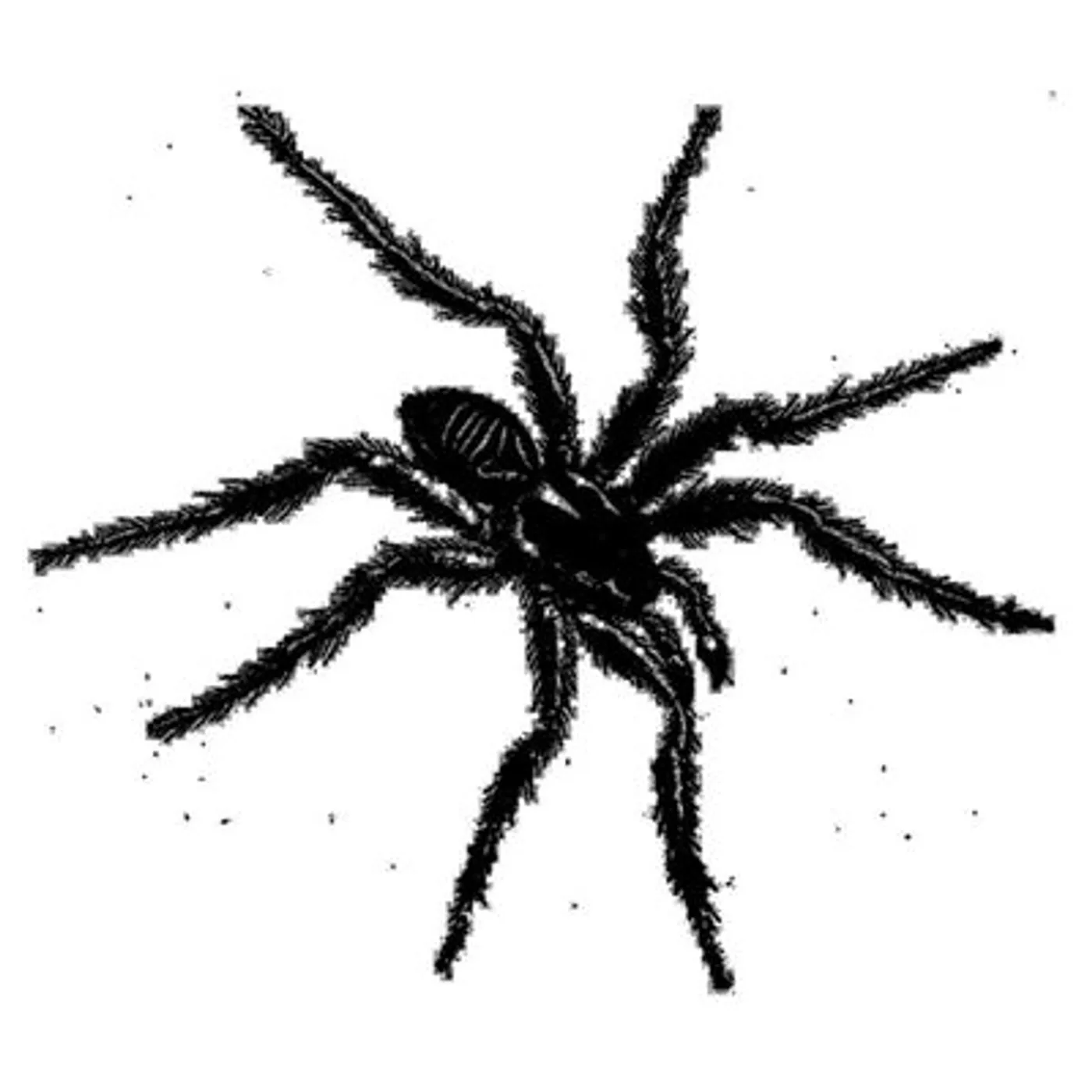 Various Artists LP - Tarantismo Odyssey Of An Ital (Vinyl)