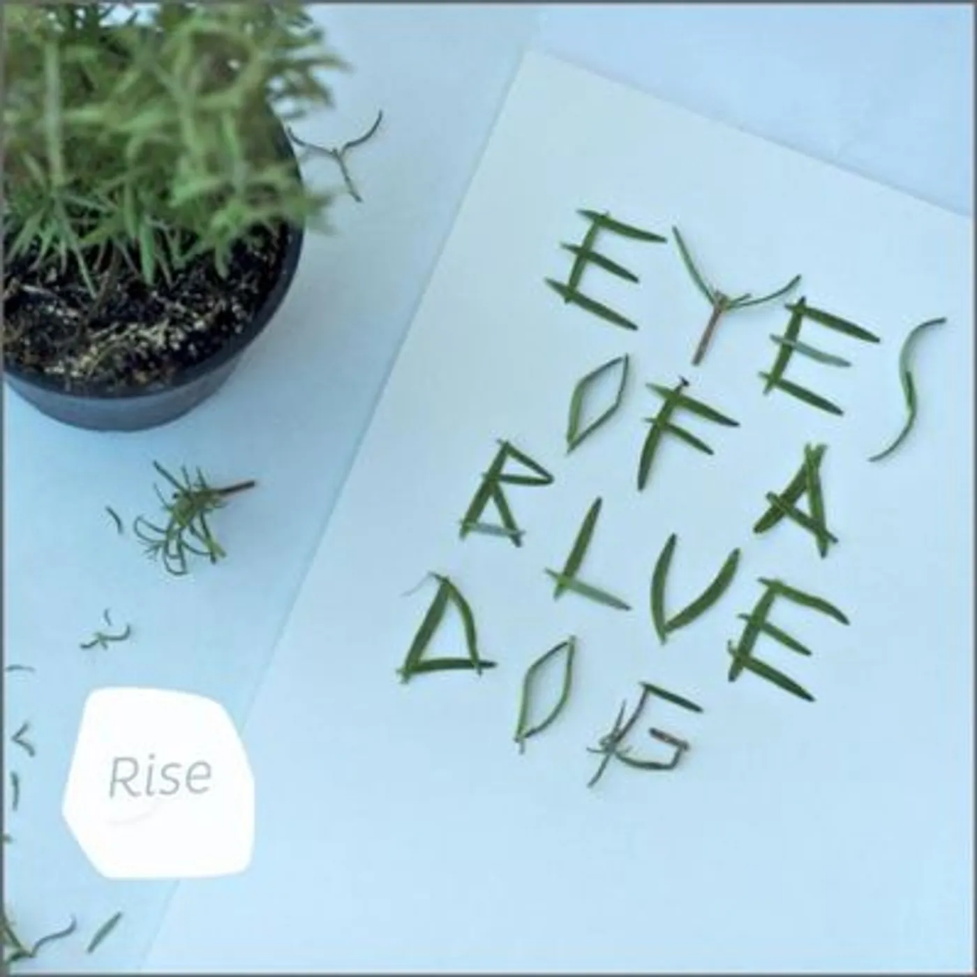 Eyes Of A Blue Dog LP - Rise (Vinyl)