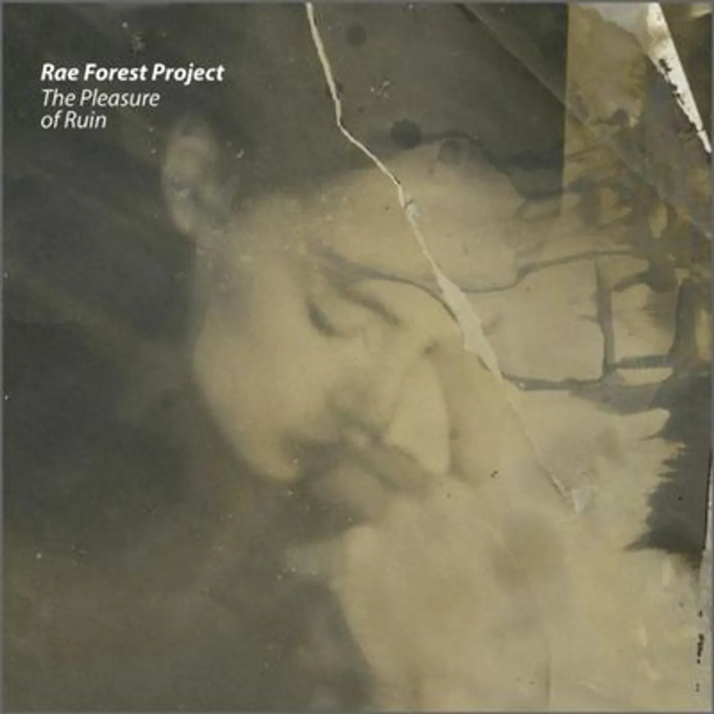 Rae Forest Project LP - Pleasure Of Ruin The (Vinyl)