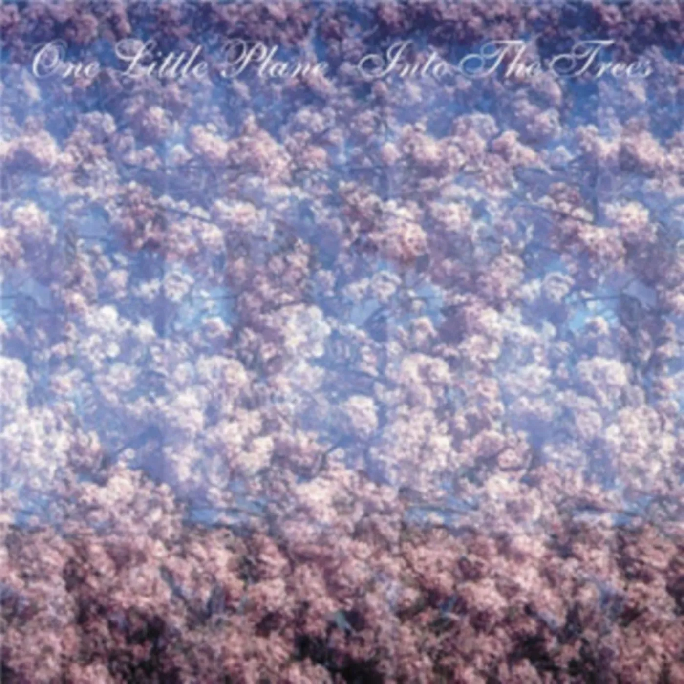 One Little Plane CD - Into The Trees