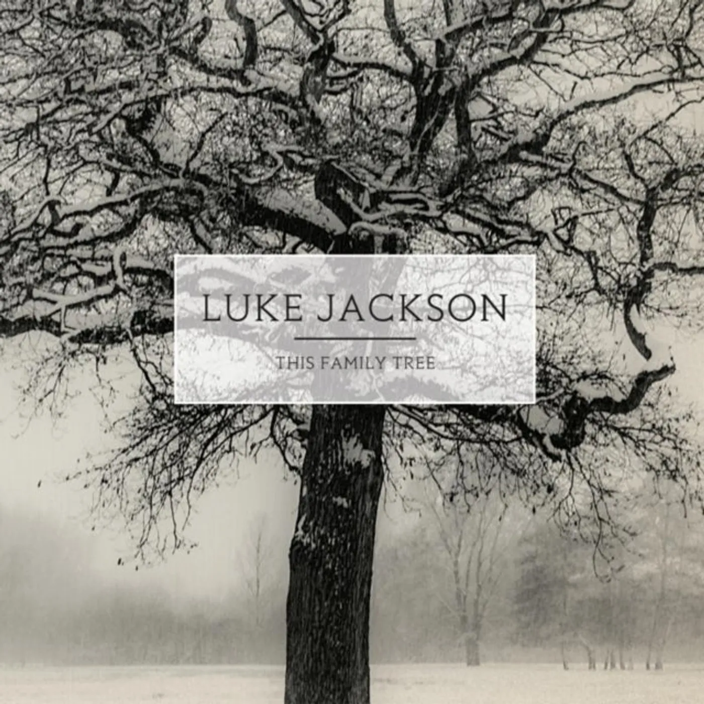 Luke Jackson CD - This Family Tree