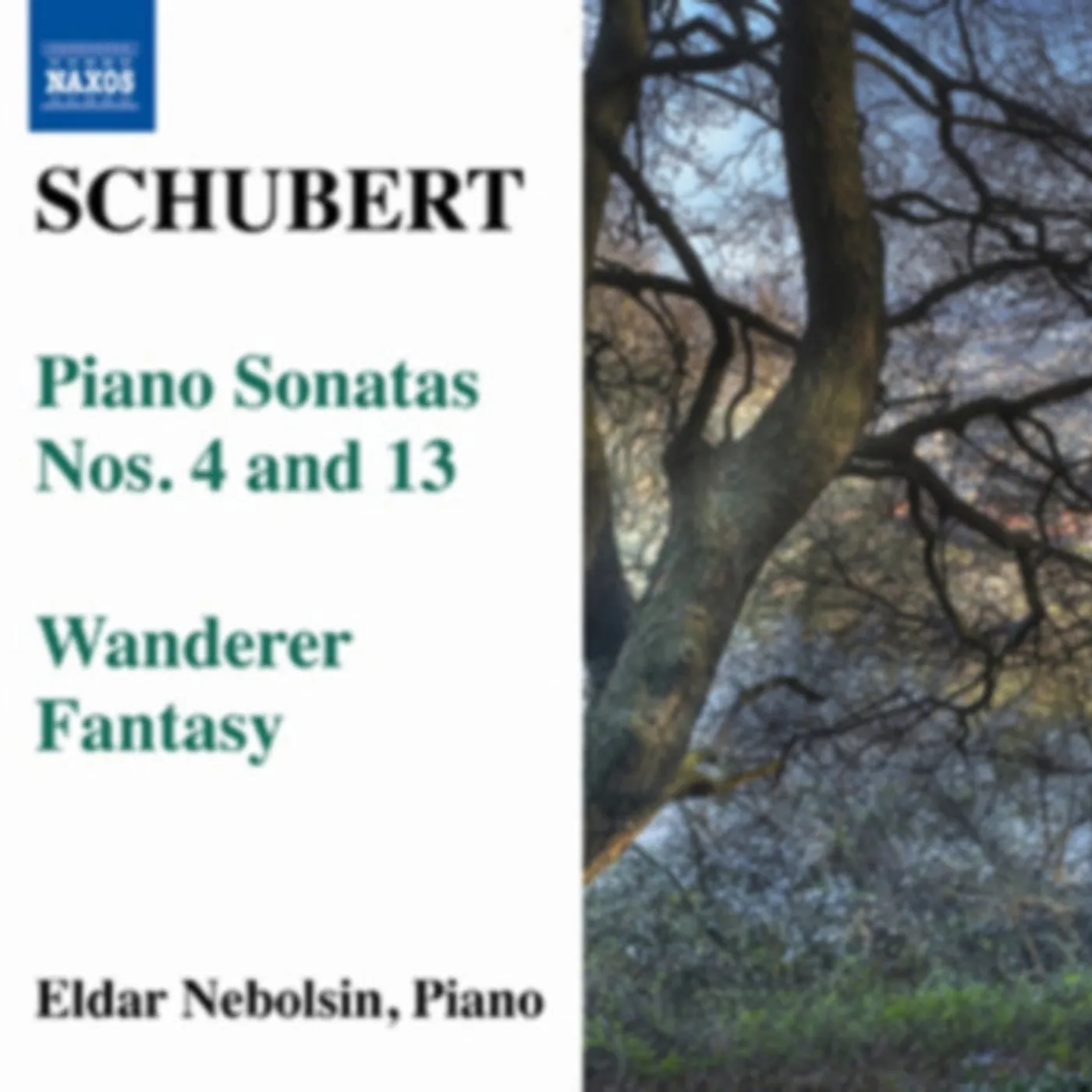 Eldar Nebolsin CD - Schubert / Piano Sonatas Nos 4 & 13