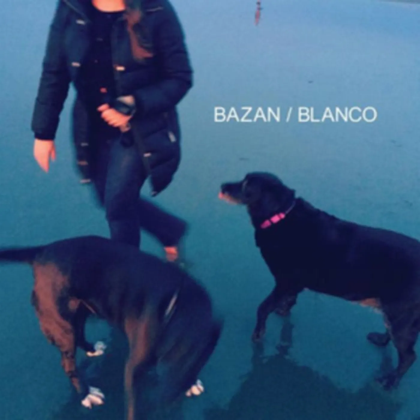 David Bazan Cassette - Blanco