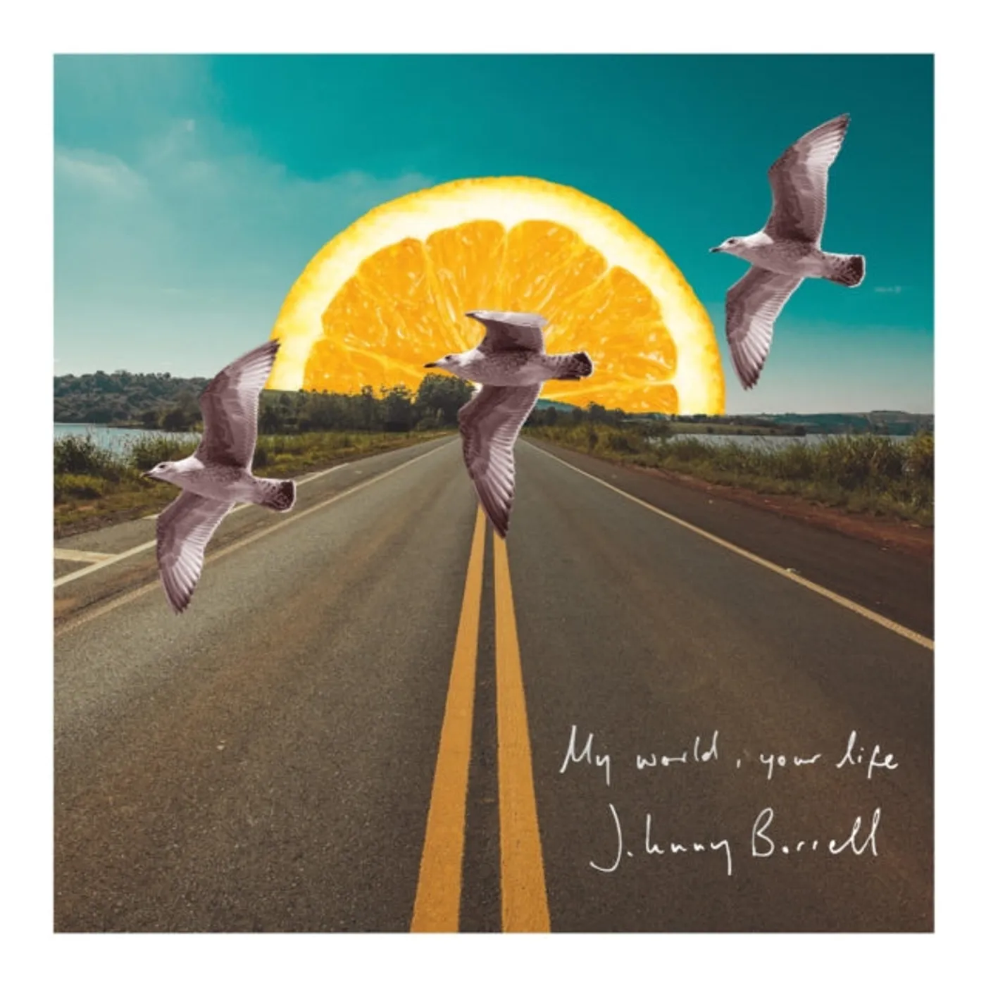 Johnny Borrell 7Inch - My World. Your Life